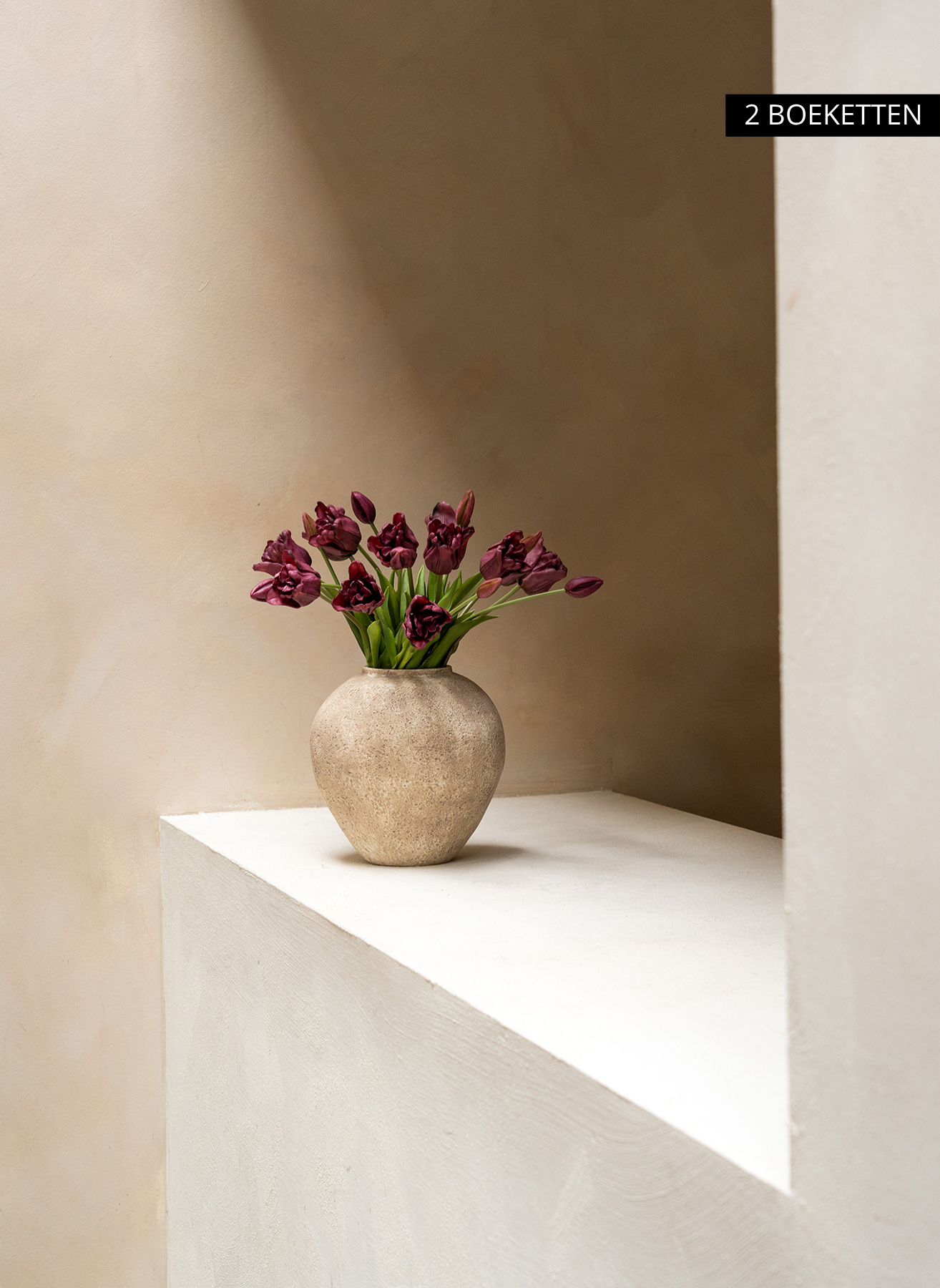 Papagei Tulpen - Lila