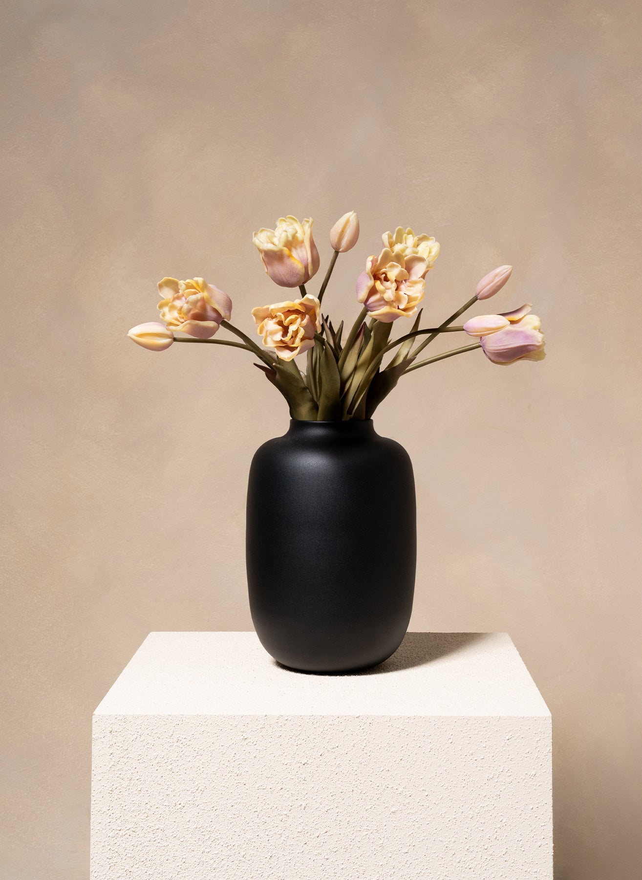 Papageien-Tulpen - Violett