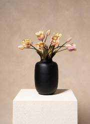 Papageien-Tulpen - Violett