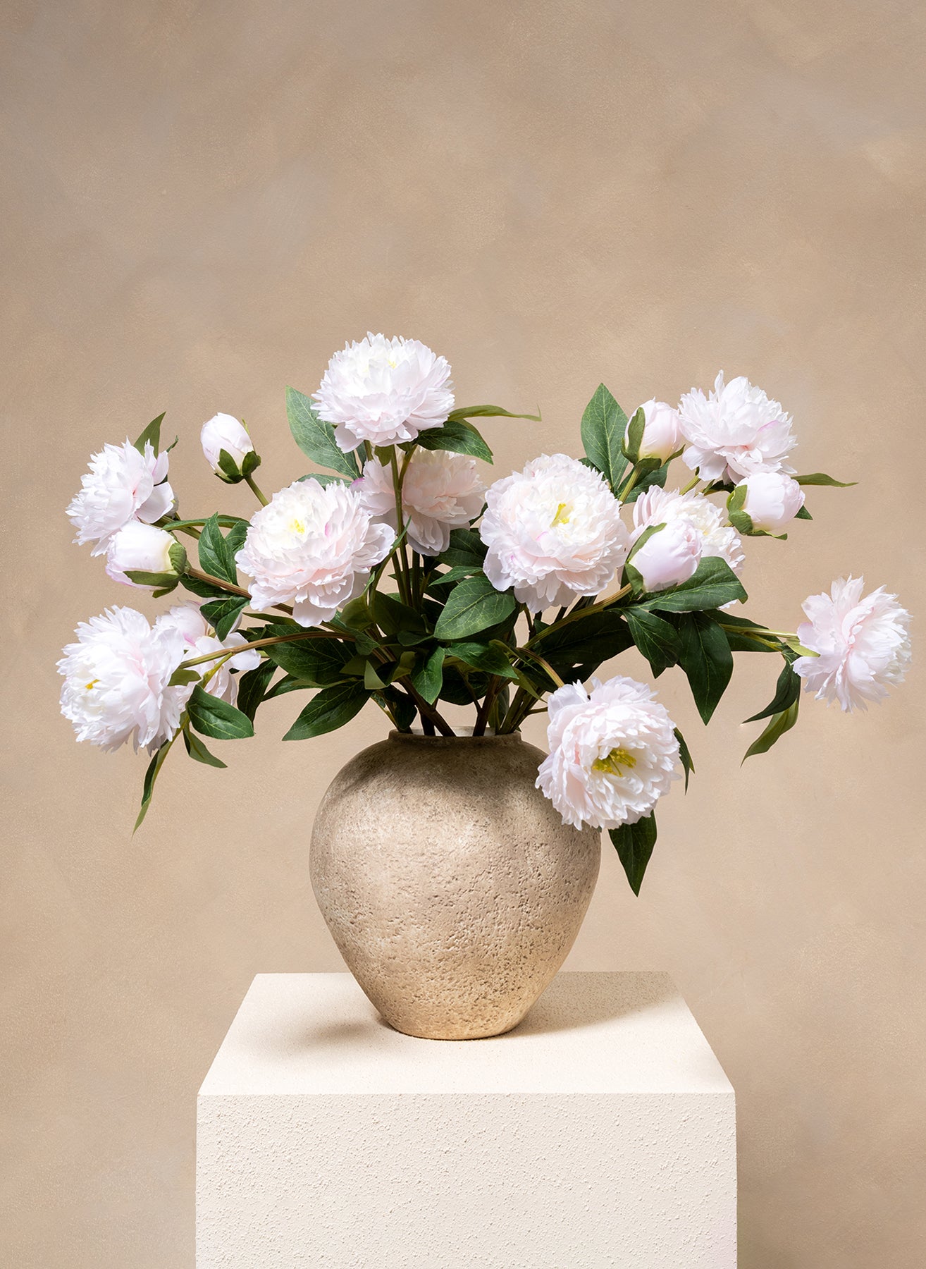 Seiden-Pfingstrosen - Hellrosa