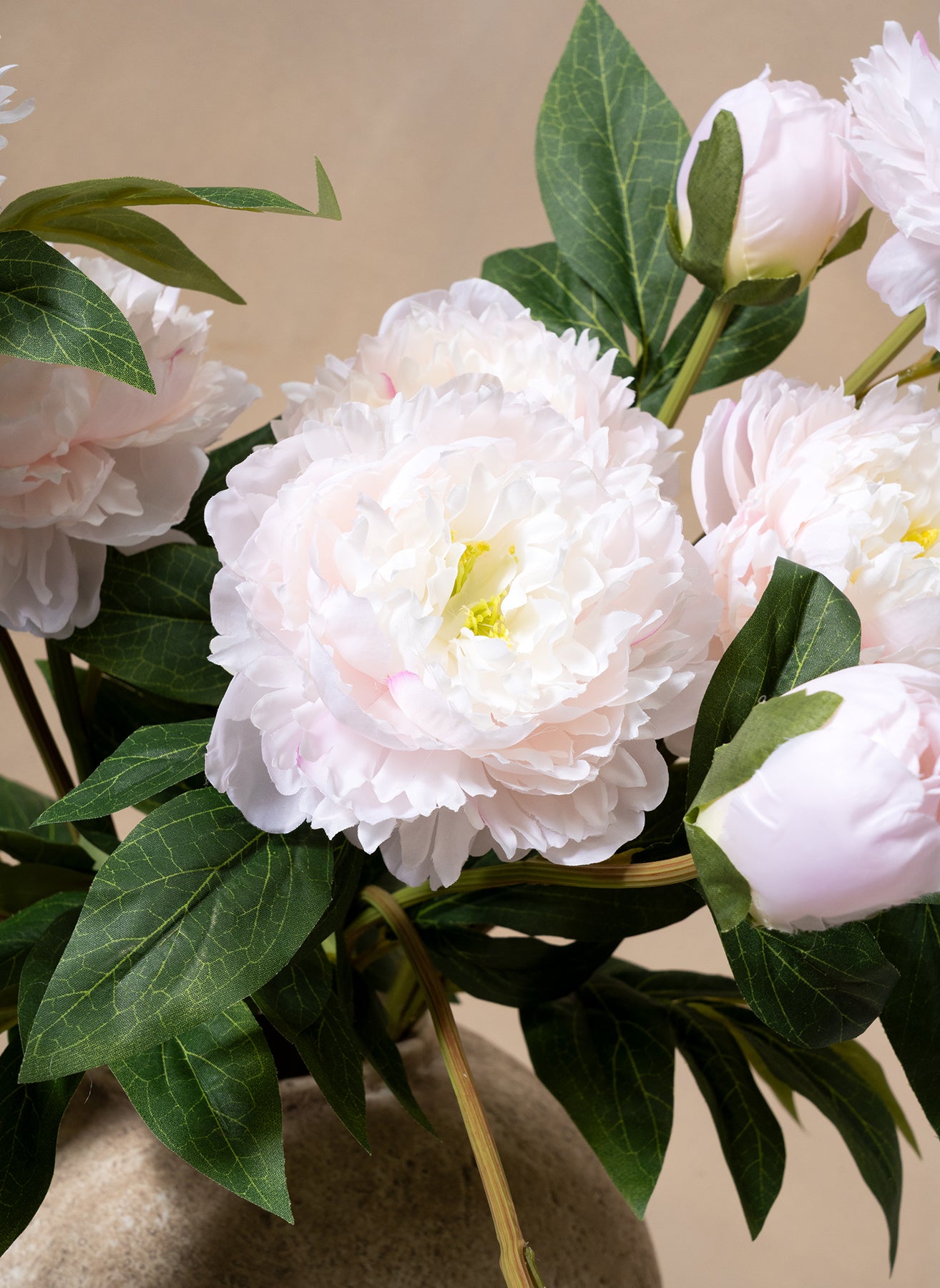 Seiden-Pfingstrosen - Hellrosa