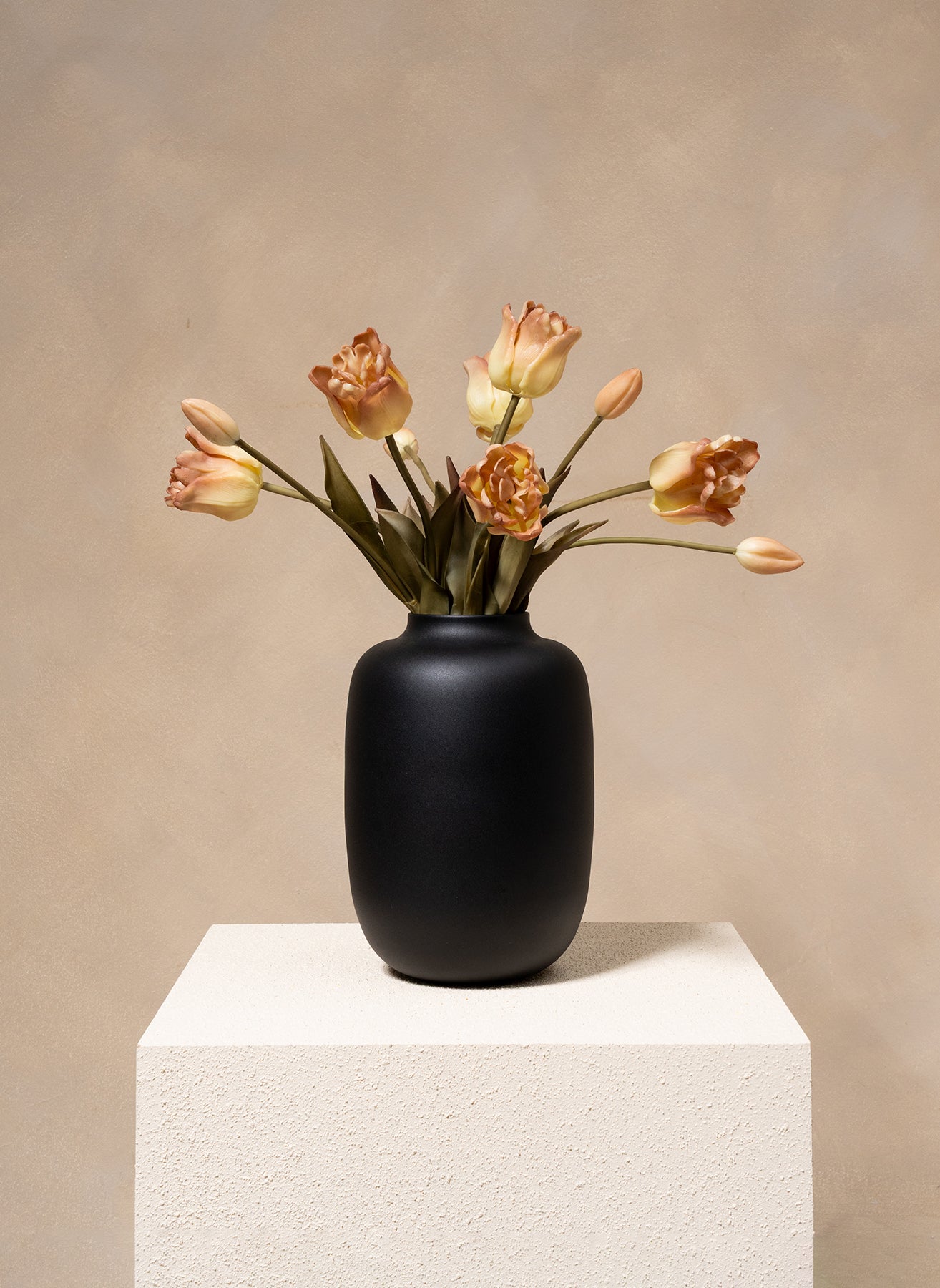 Papagei Tulpen - Kaffee