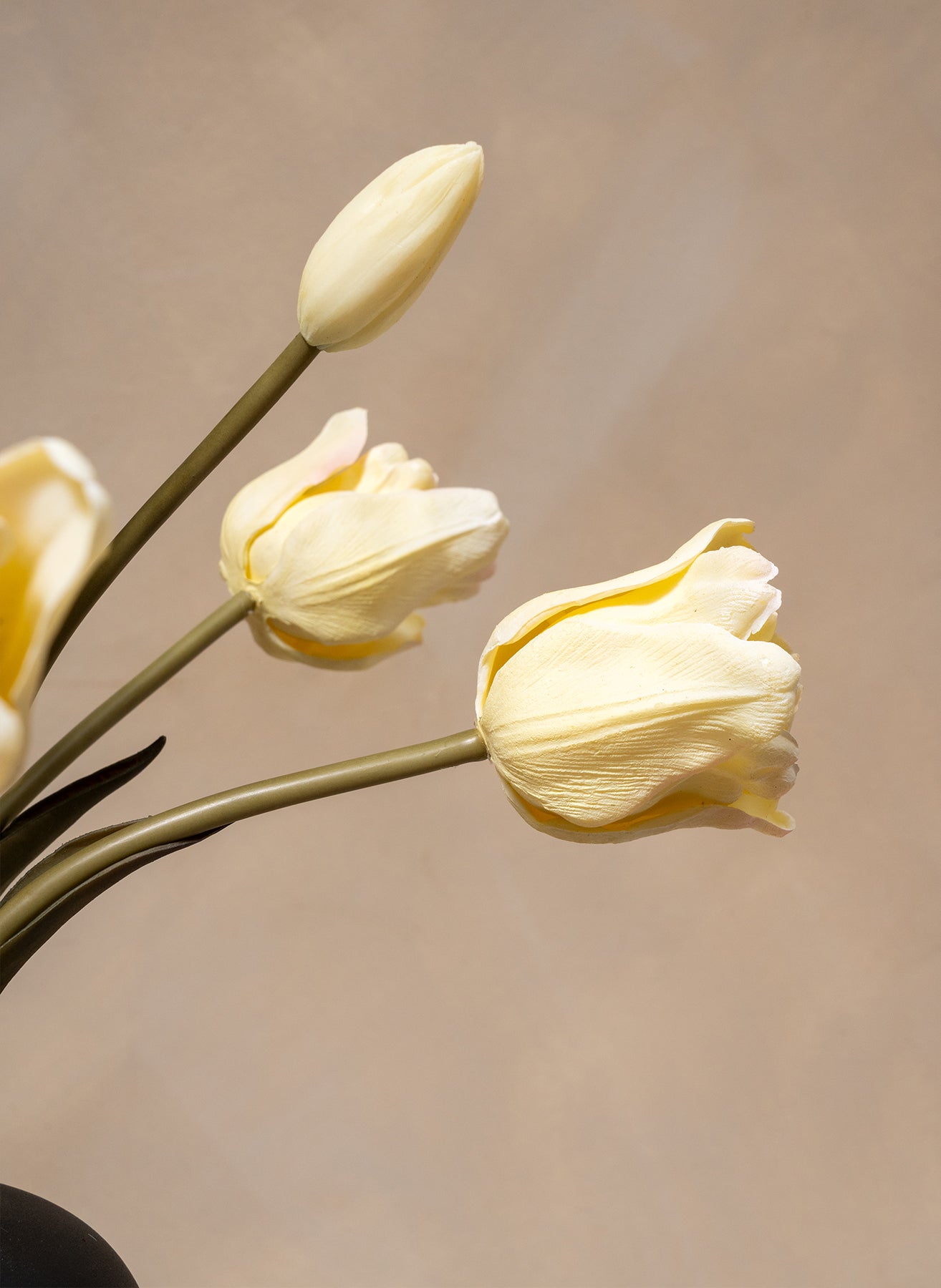 Papagei Tulpen - Elfenbein