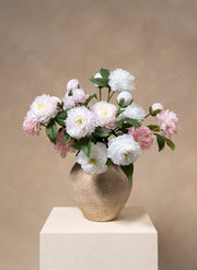 Seiden-Pfingstrosen - Mix