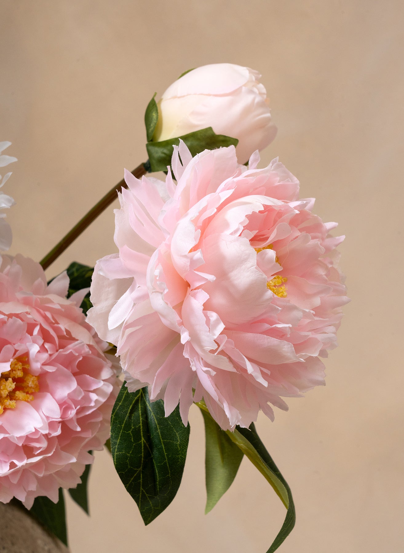 Seiden-Pfingstrosen - Mix