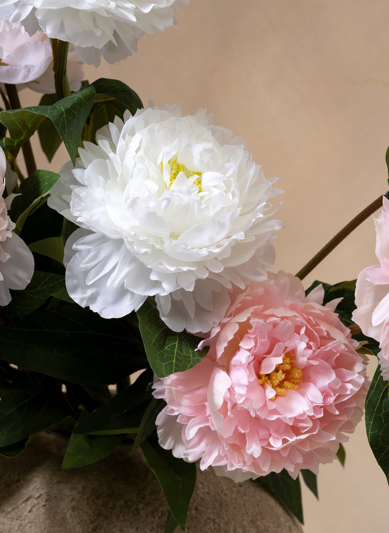 Seiden-Pfingstrosen - Mix