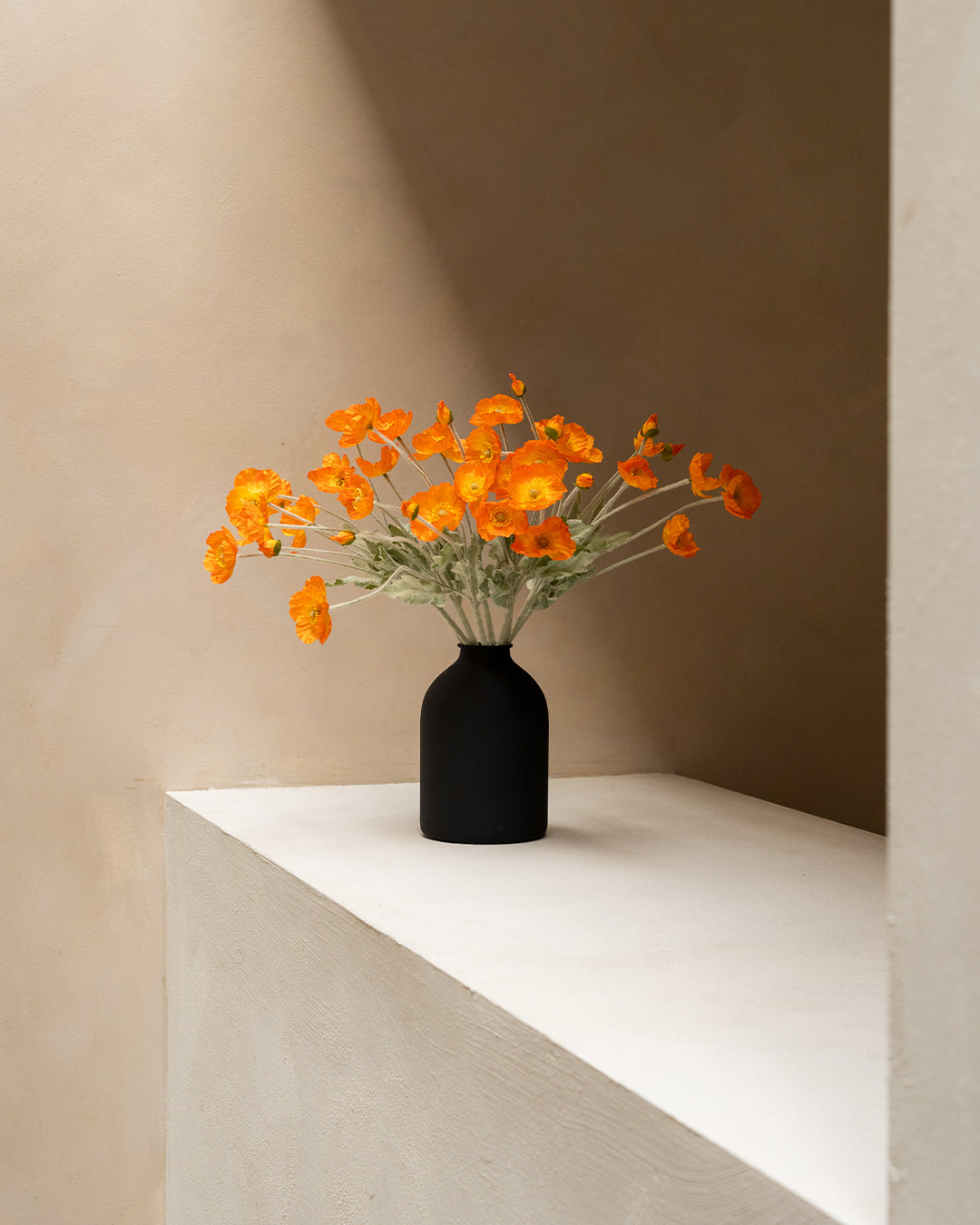 Seidenmohn - Hellorange