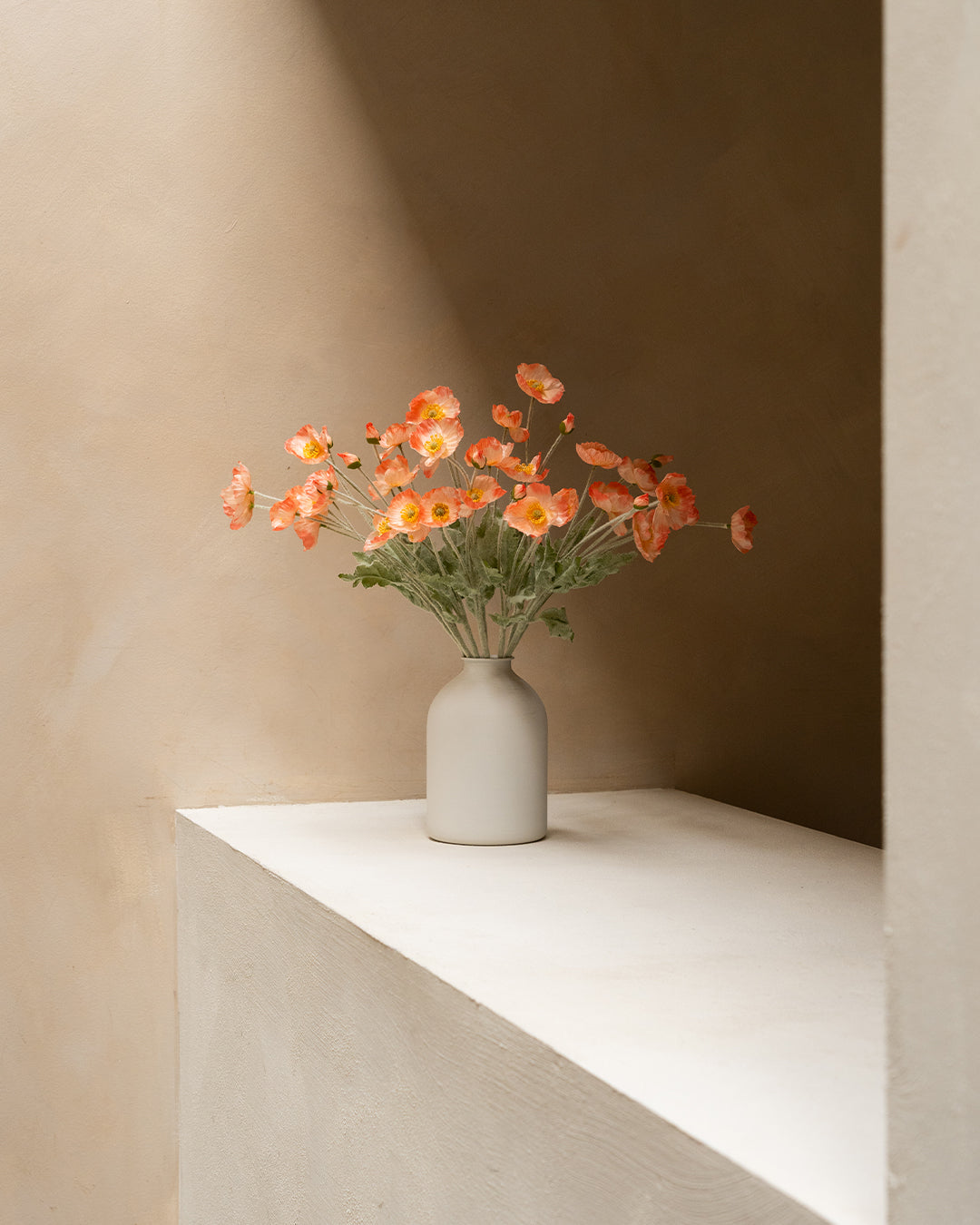 Seidenmohn - Altrosa