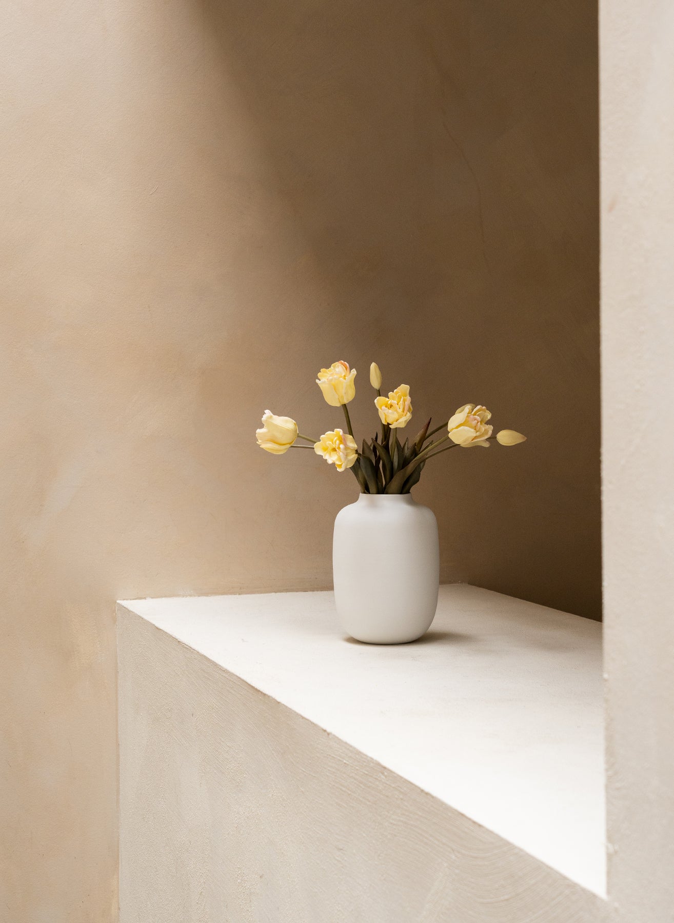 Papagei Tulpen - Elfenbein