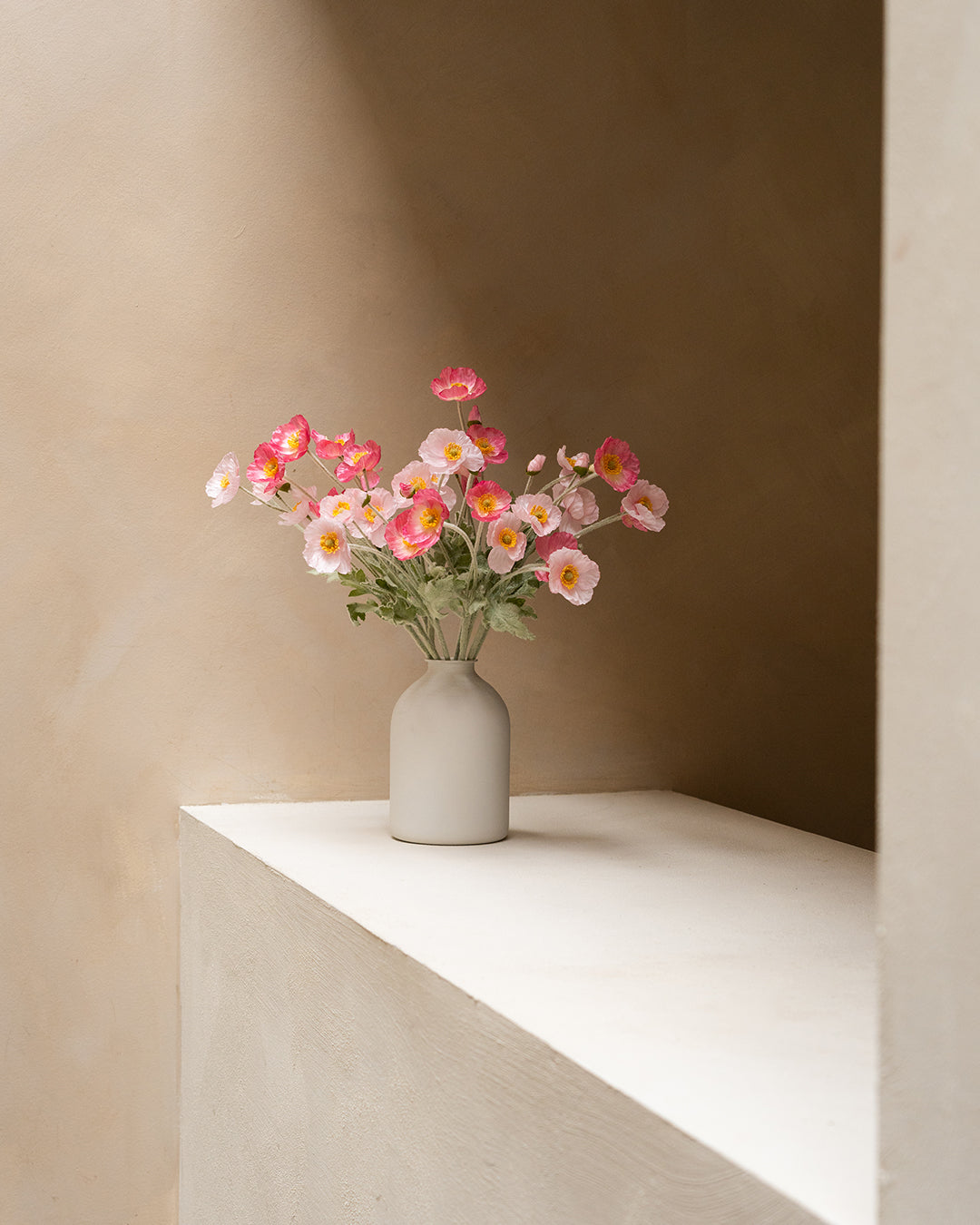 Seidenmohn - Rosa Mischung