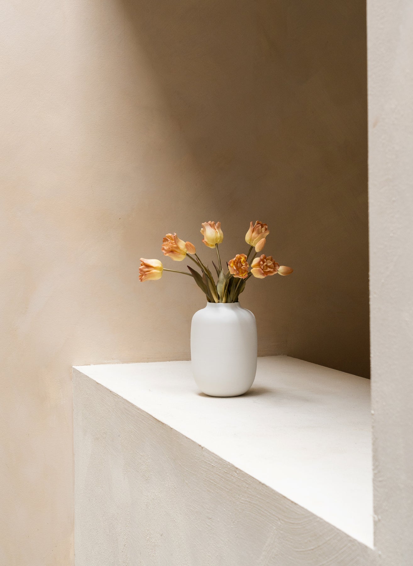 Papagei Tulpen - Kaffee