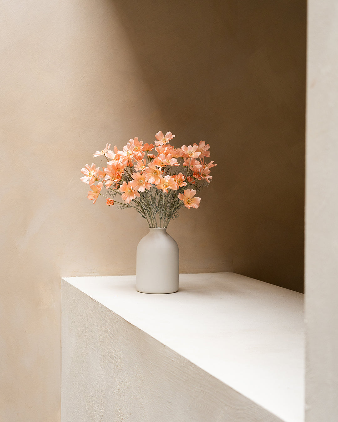 Seidenmargeriten (10 Stiele) - Pfirsich