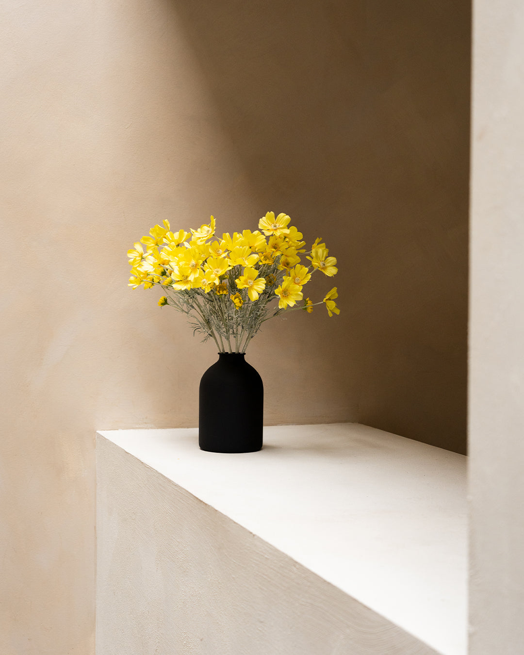 Seidenmargeriten (10 Stiele) - Gelb