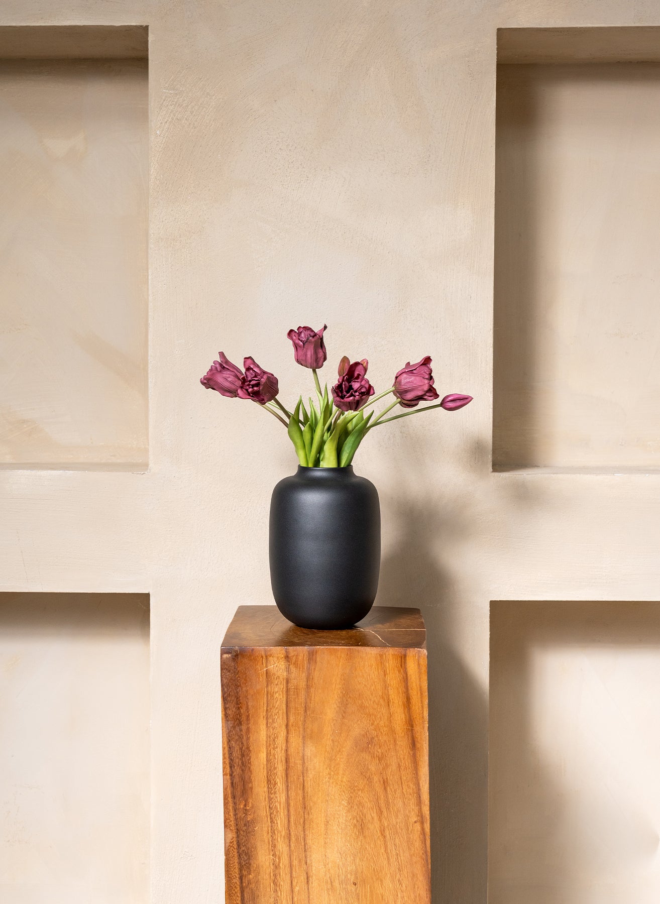 Papagei Tulpen - Lila