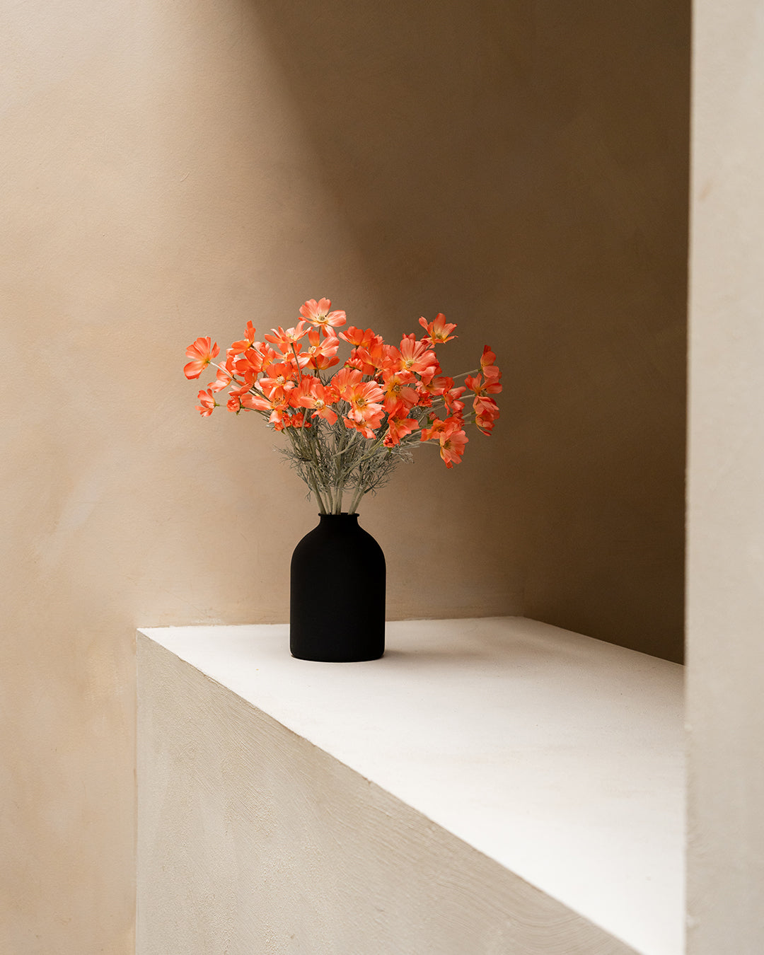 Seidenmargeriten (10 Stiele) - Altrosa