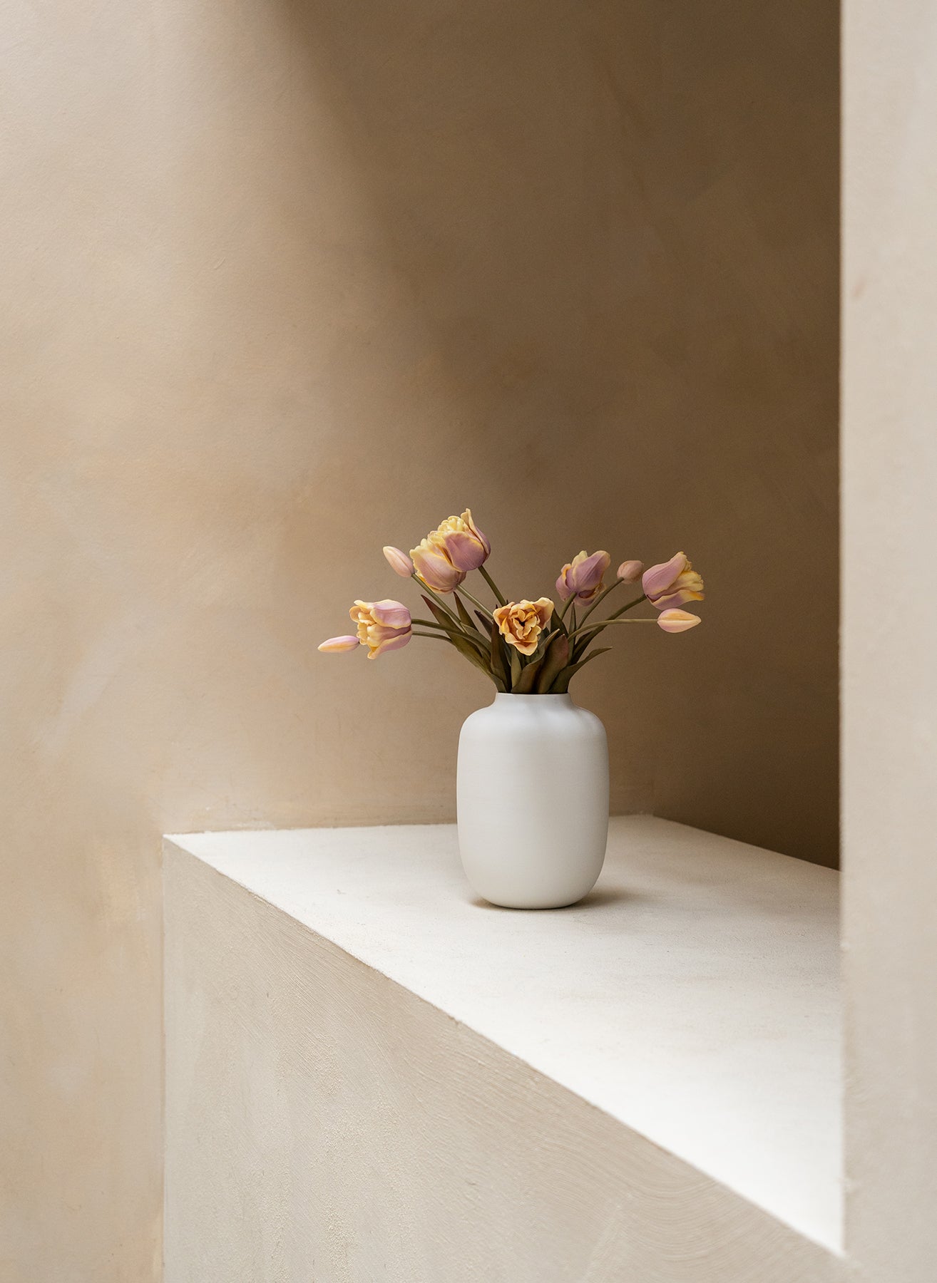 Papageien-Tulpen - Violett