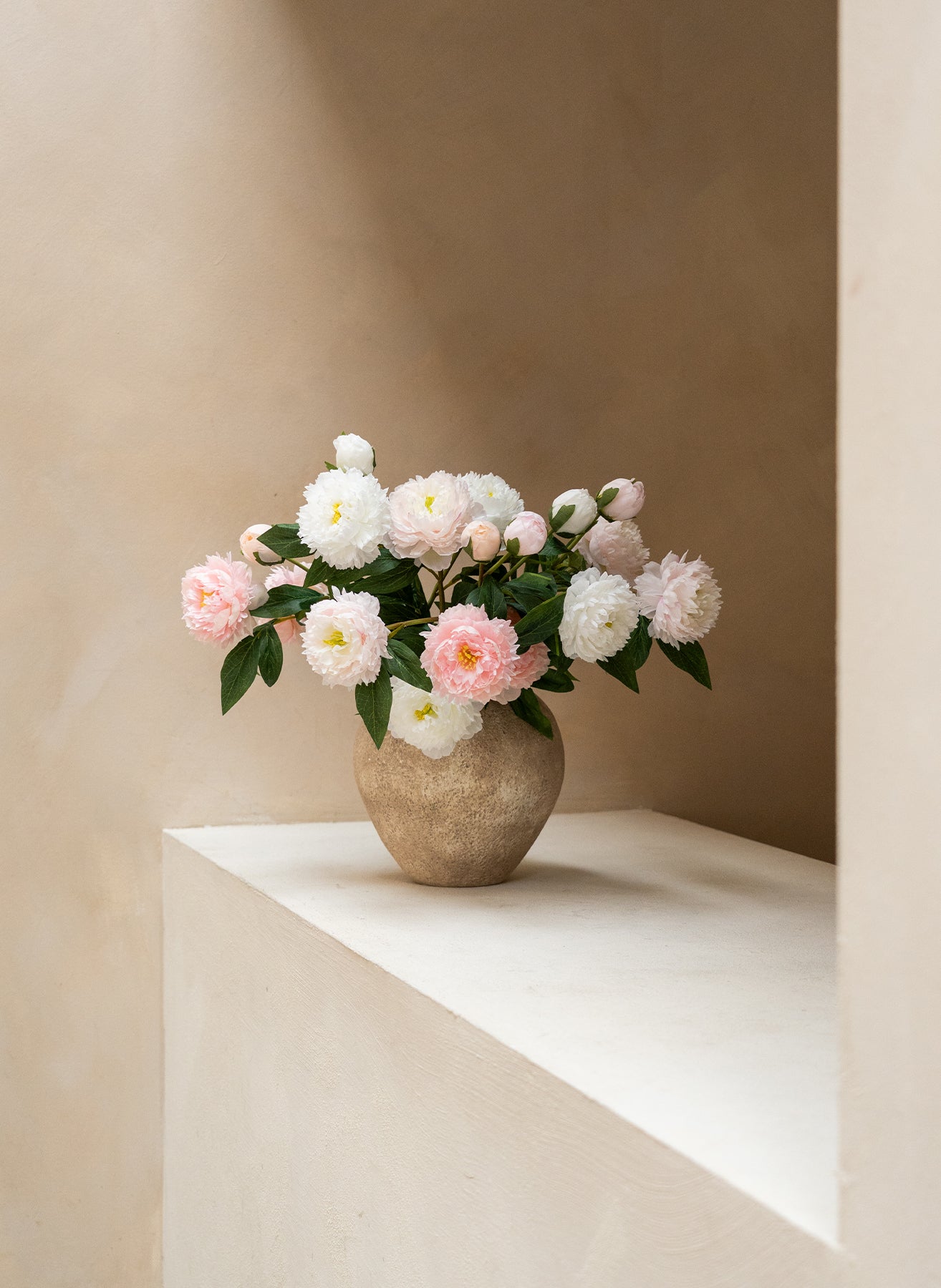 Seiden-Pfingstrosen - Mix