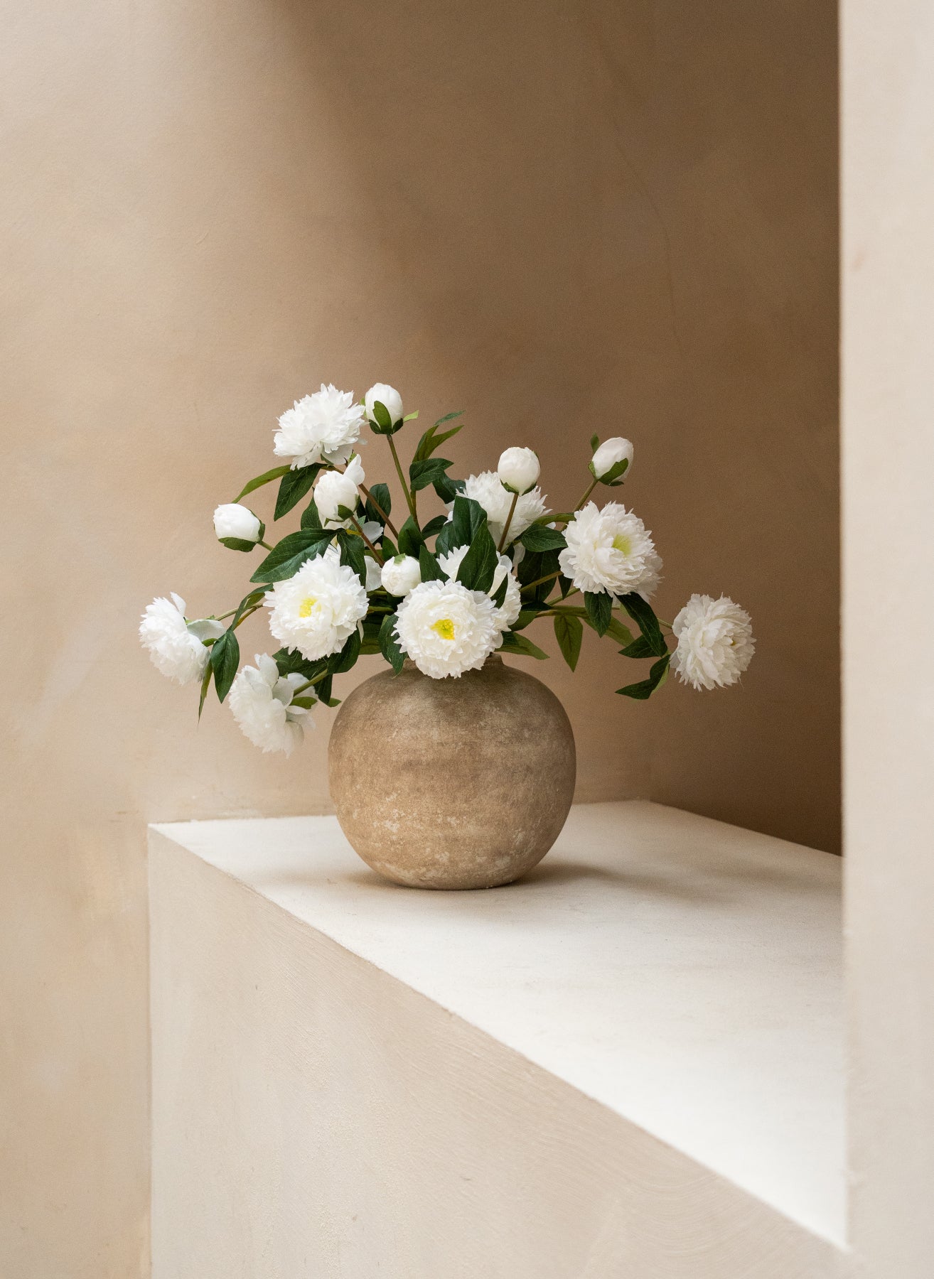 Seiden-Pfingstrosen - Weiß