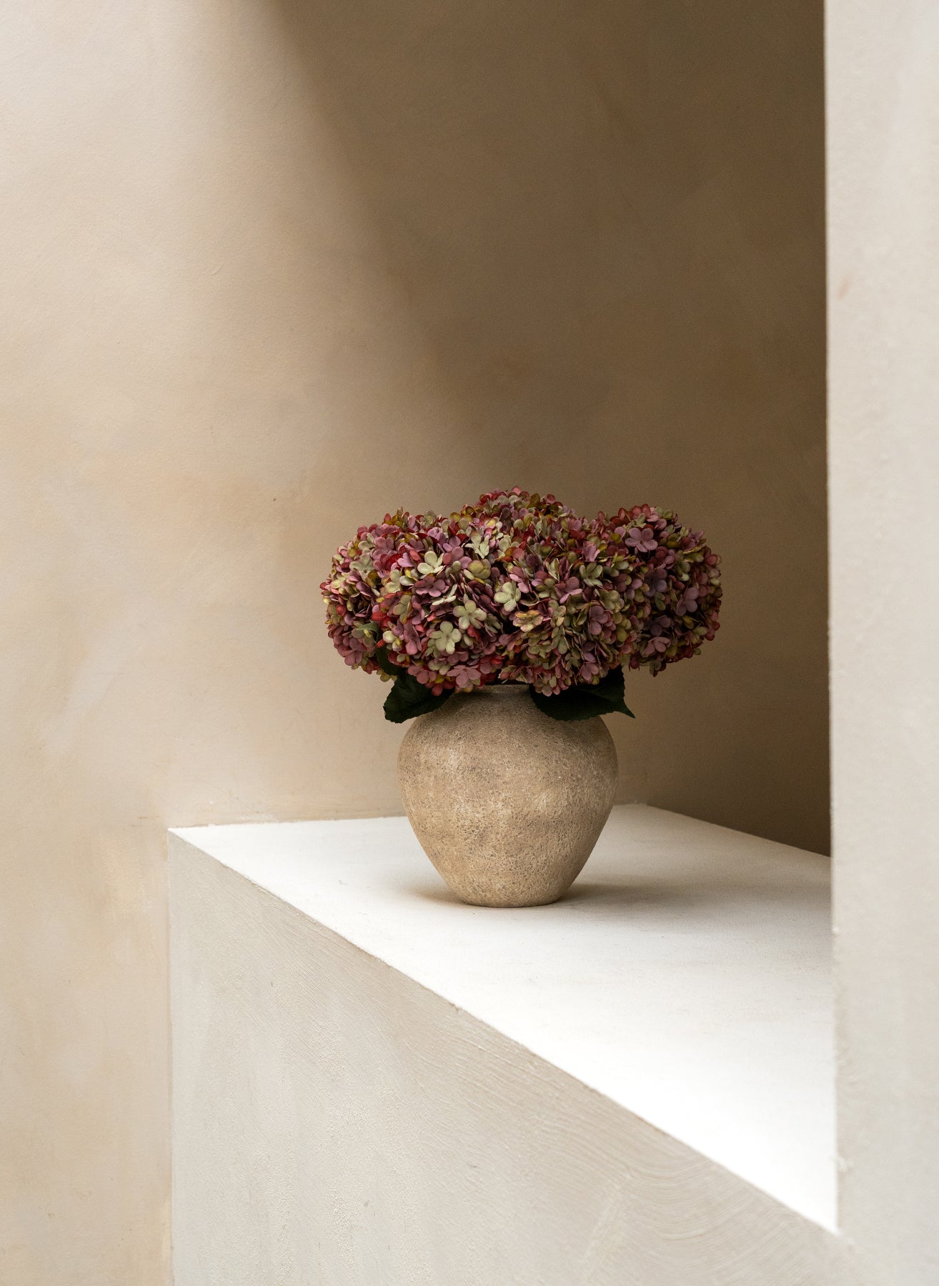 Große Seidenhortensie - Lila