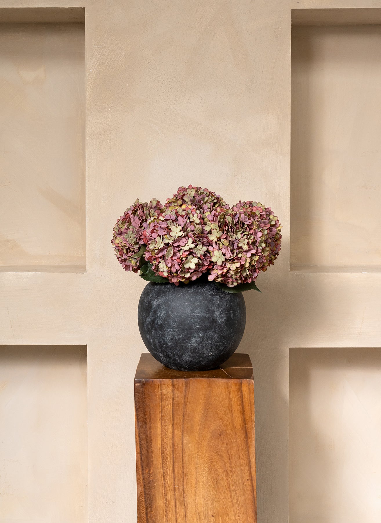 Große Seidenhortensie - Lila