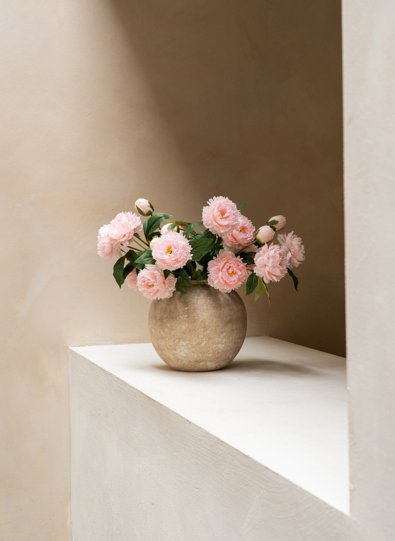 Seiden-Pfingstrosen - Rosa