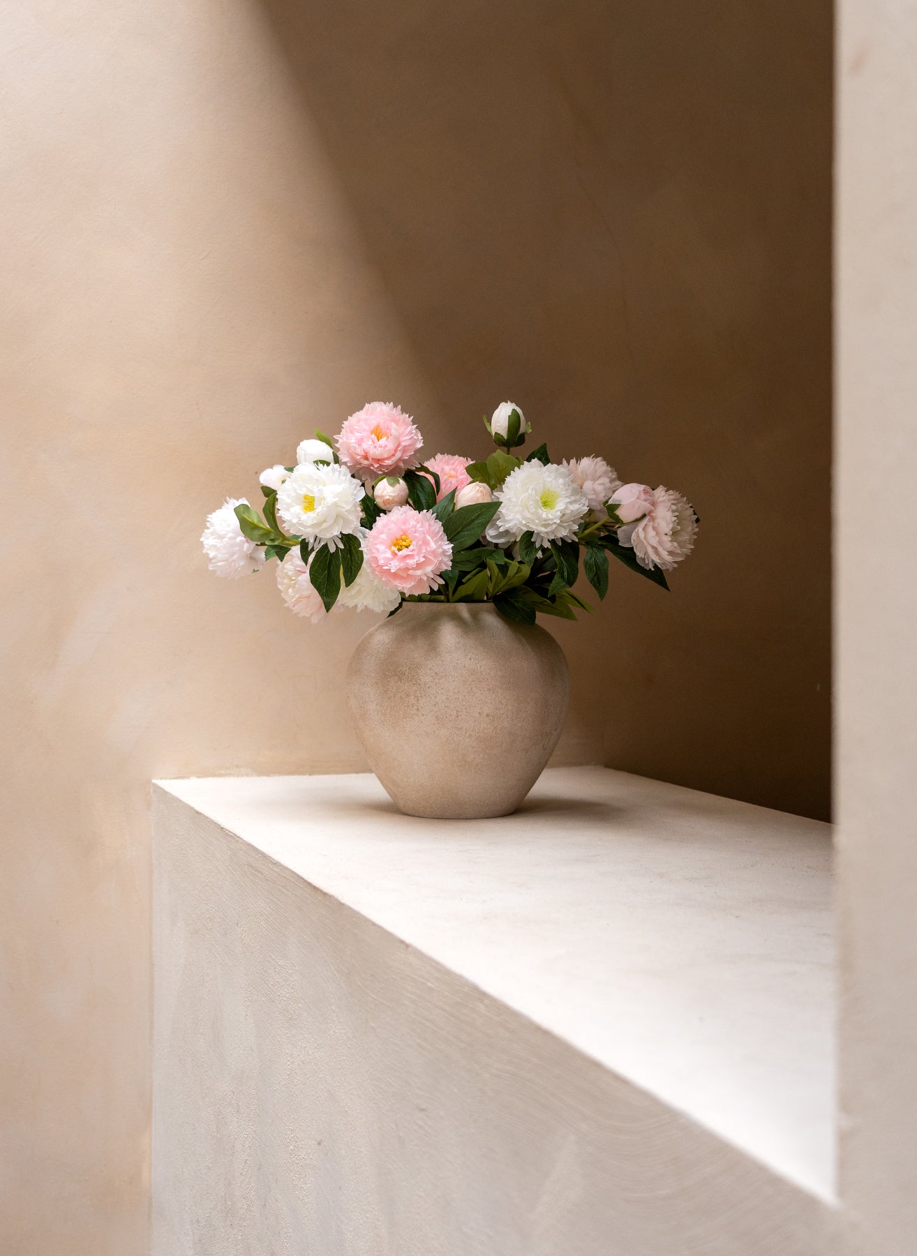 Seiden-Pfingstrosen - Mix