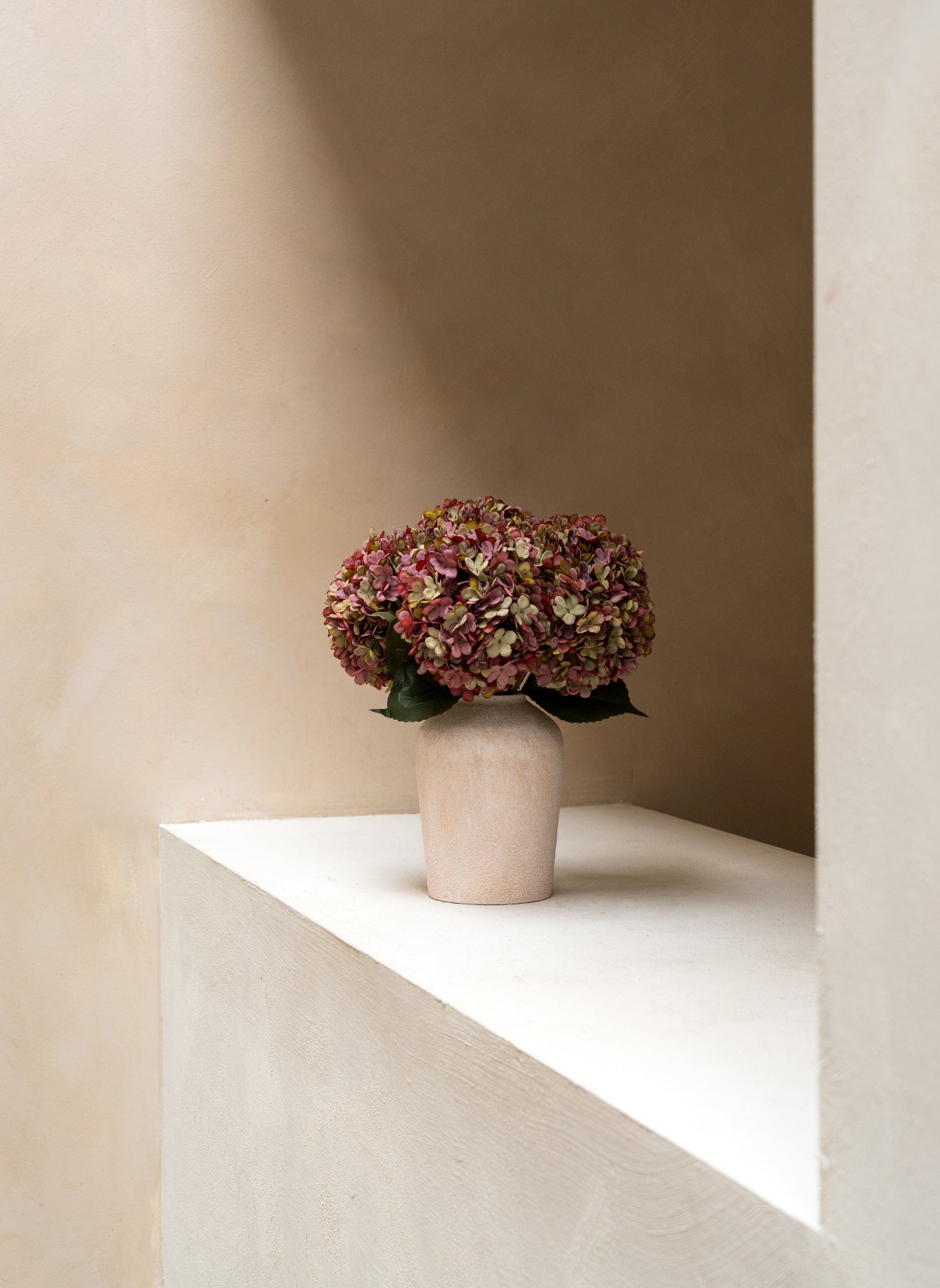 Große Seidenhortensie - Lila