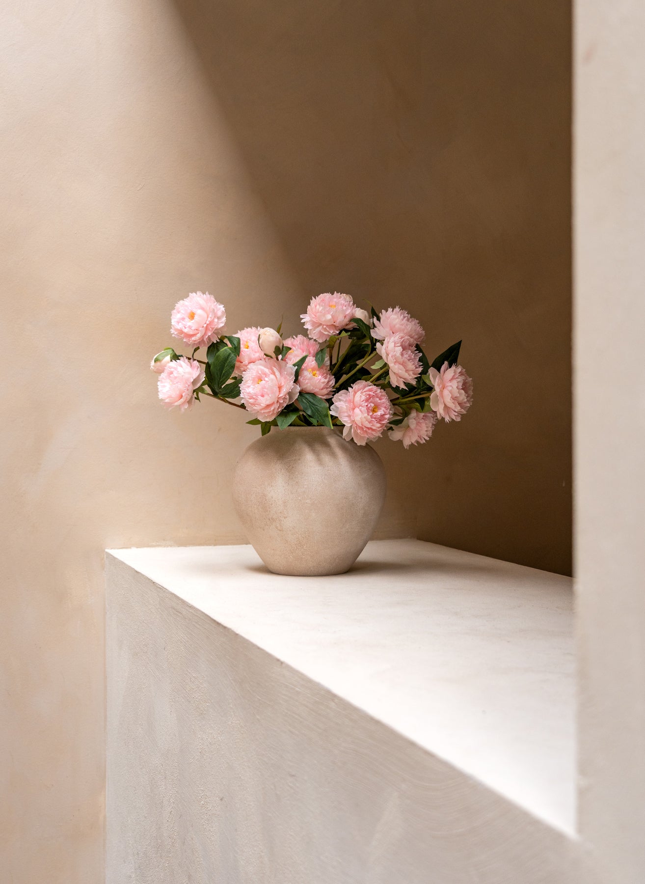 Seiden-Pfingstrosen - Rosa