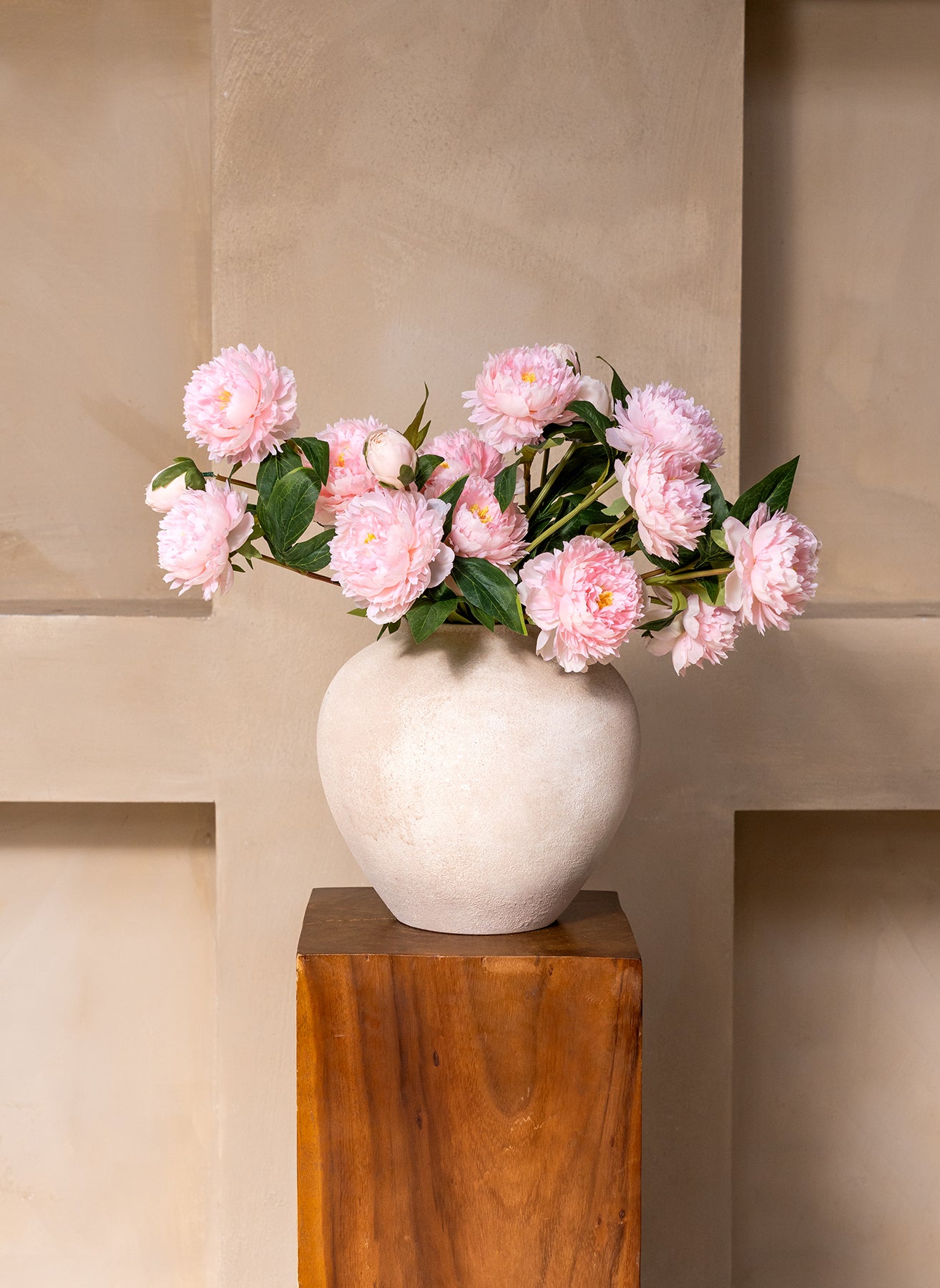 Seiden-Pfingstrosen - Rosa