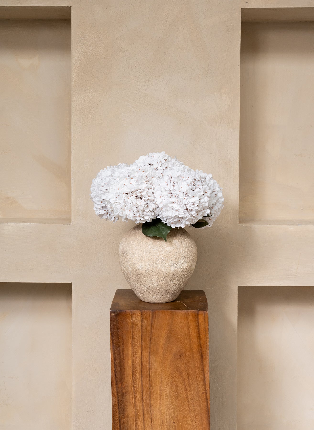 Große Seidenhortensie - Weiß