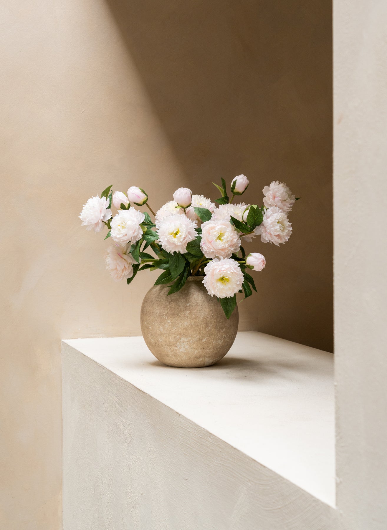 Seiden-Pfingstrosen - Hellrosa