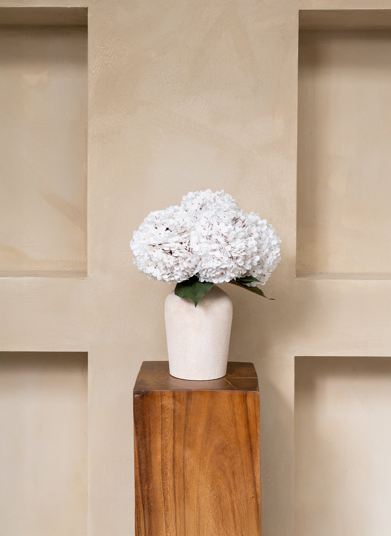 Große Seidenhortensie - Weiß