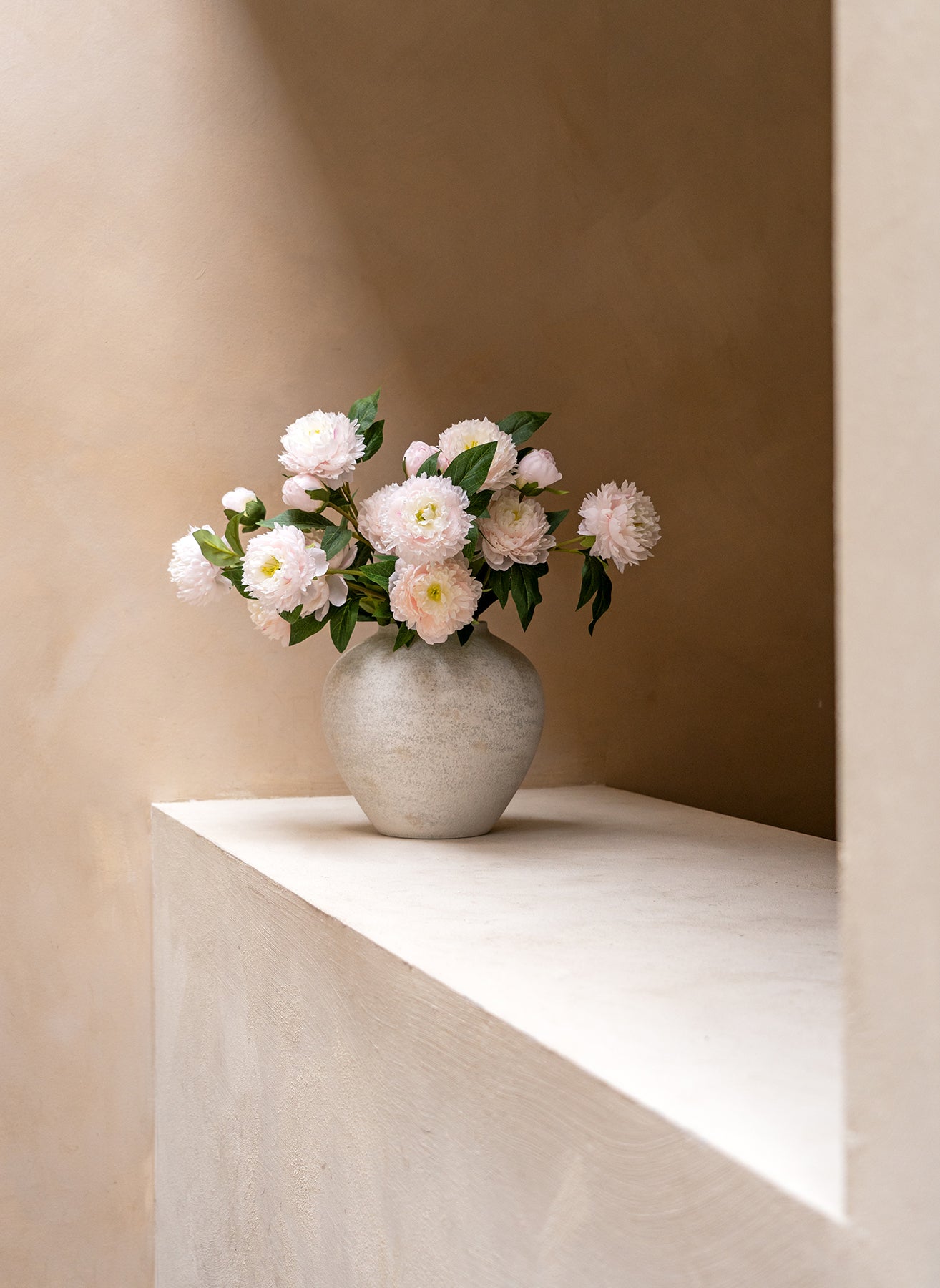 Seiden-Pfingstrosen - Hellrosa