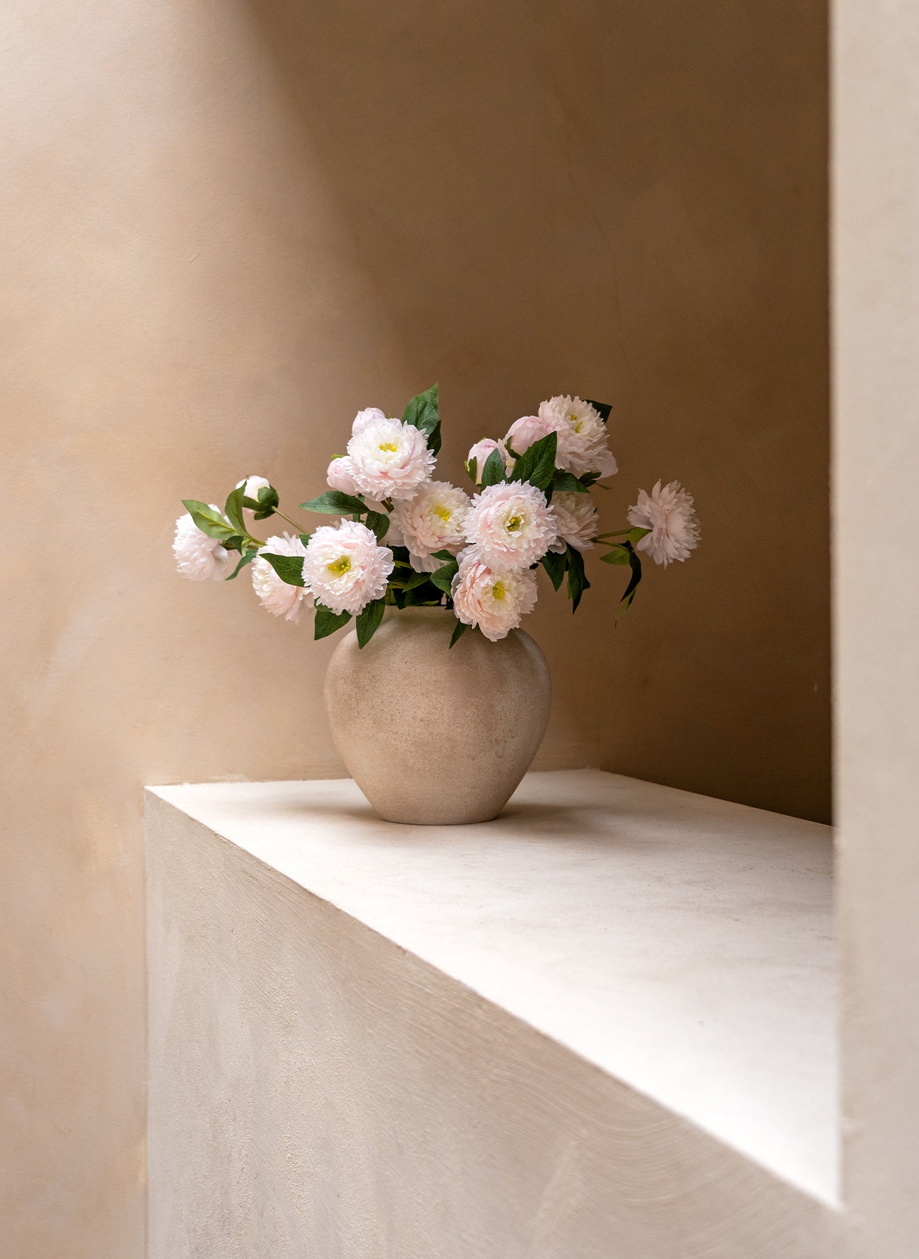 Seiden-Pfingstrosen - Hellrosa