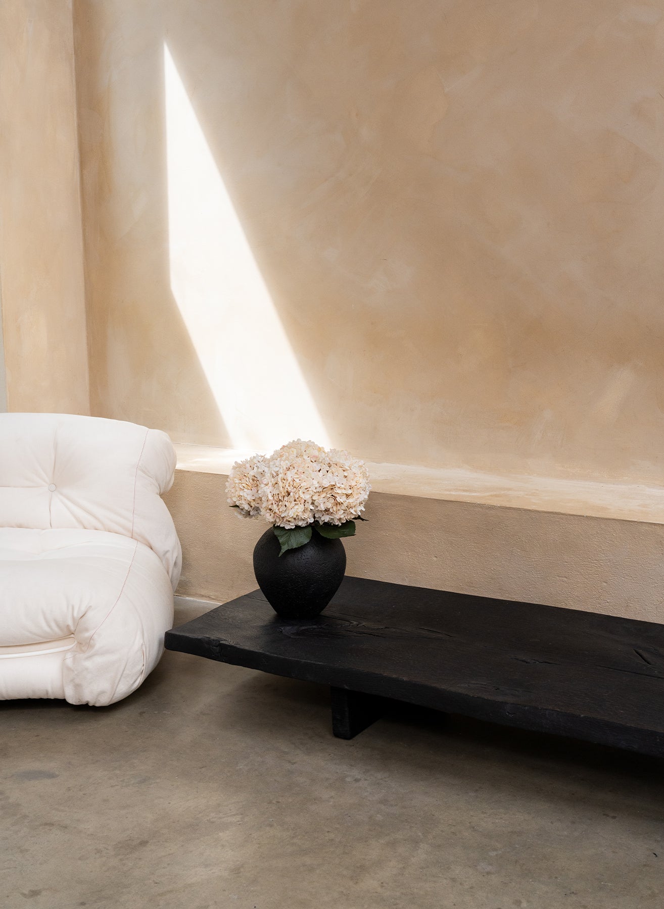 Große Seidenhortensie - Creme