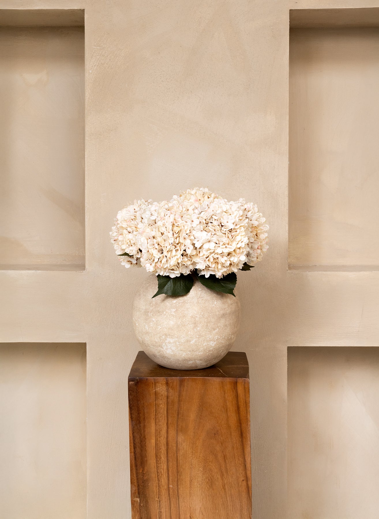 Große Seidenhortensie - Creme