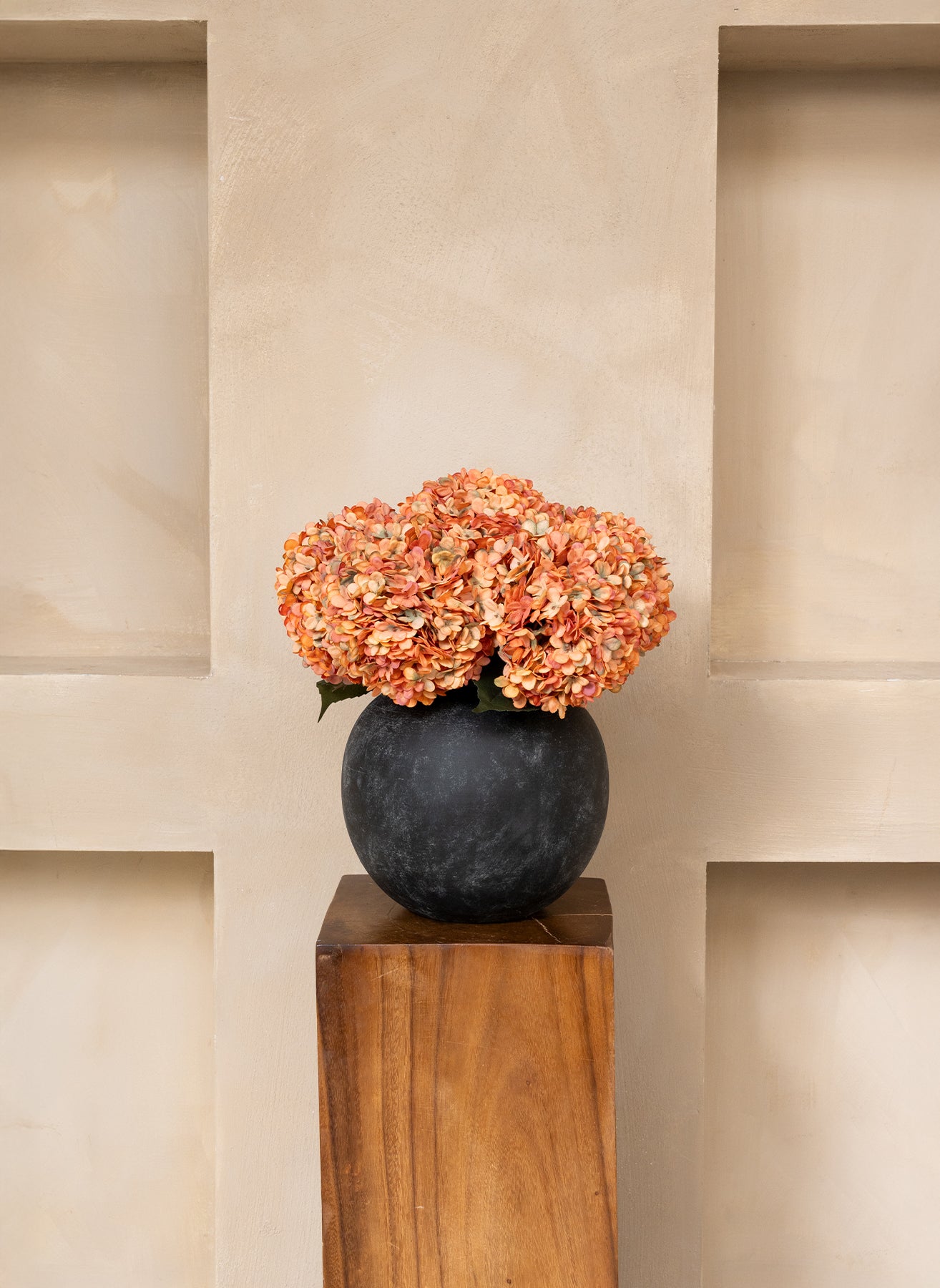 Große Seidenhortensie - Orange