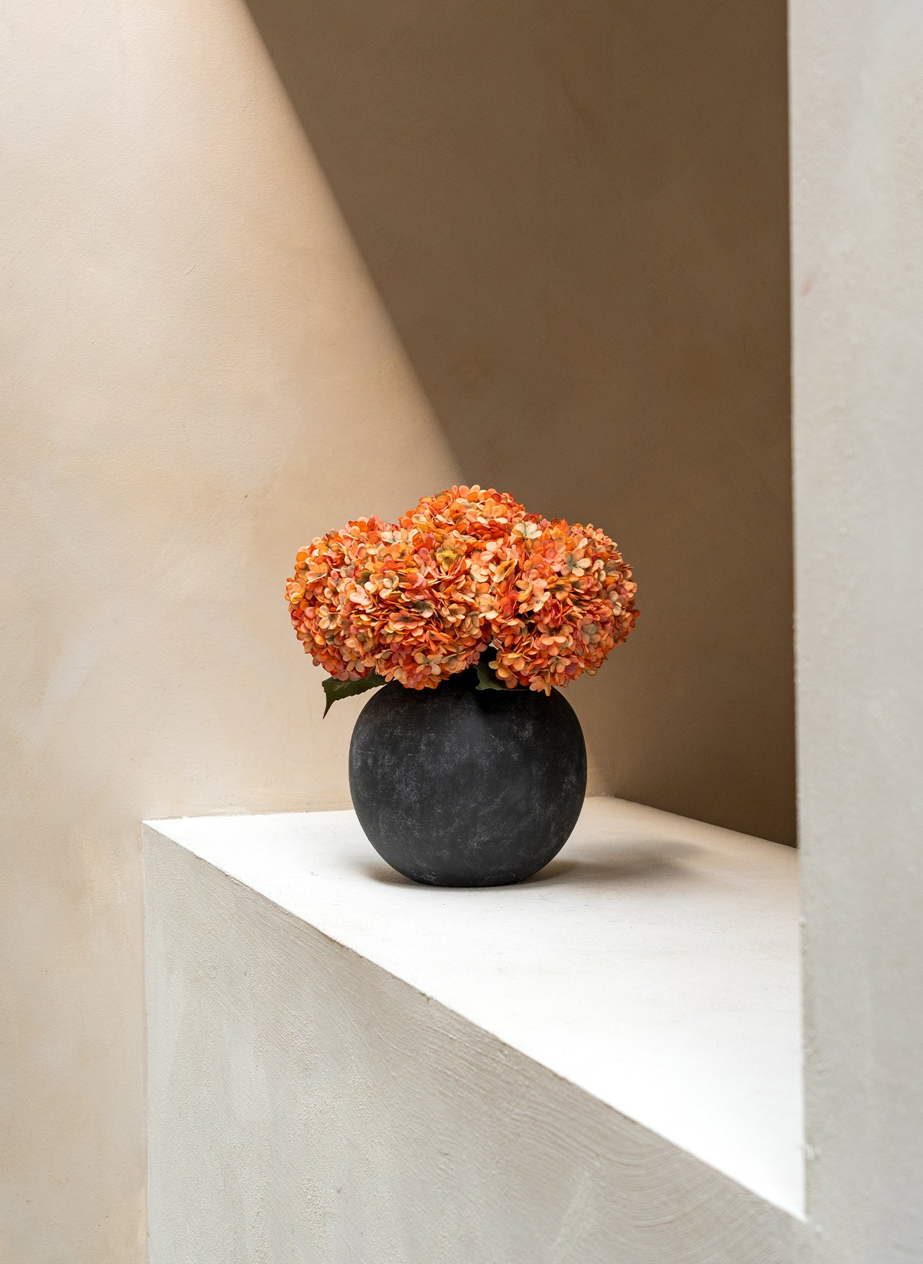 Große Seidenhortensie - Orange