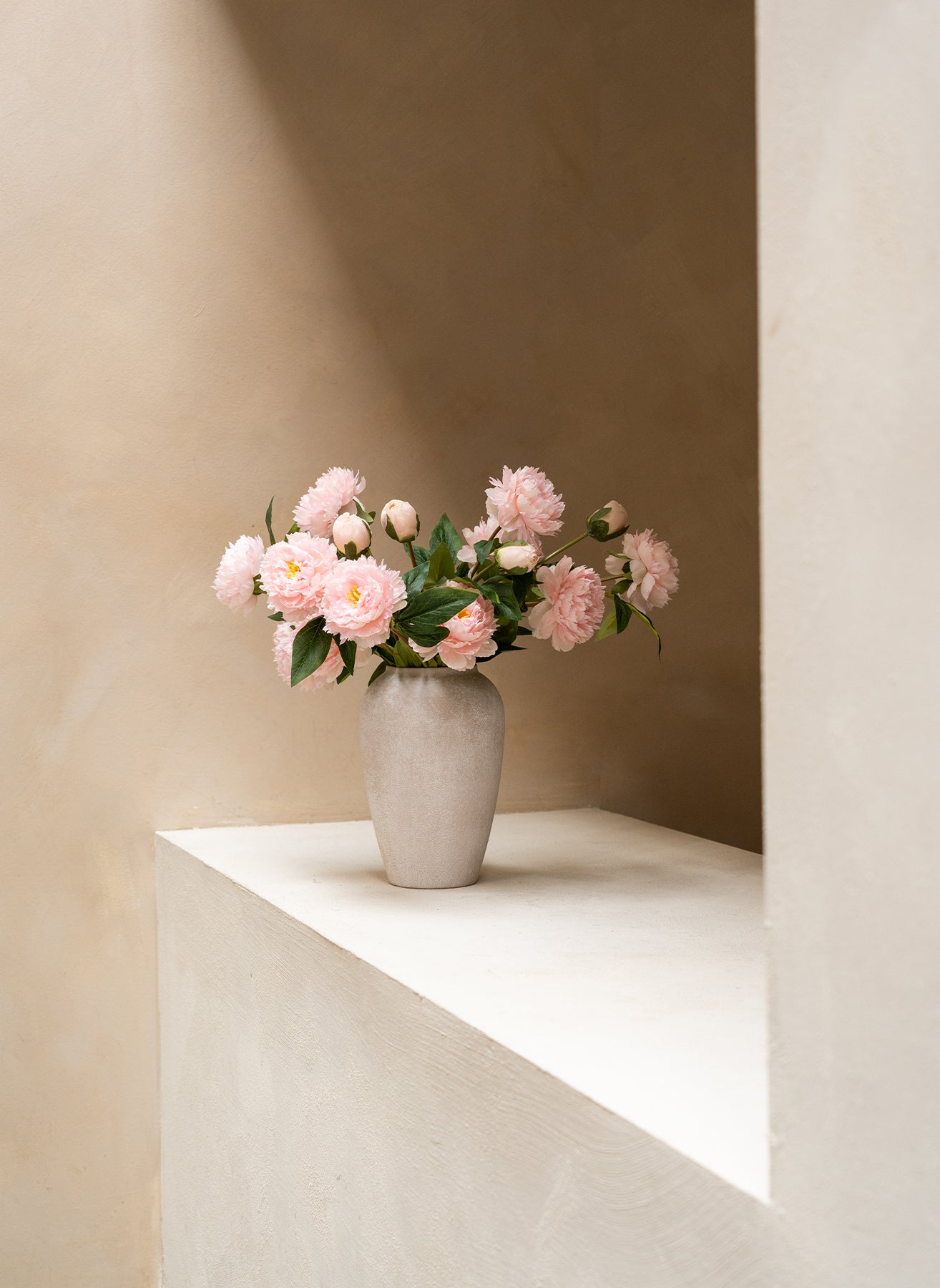 Seiden-Pfingstrosen - Rosa