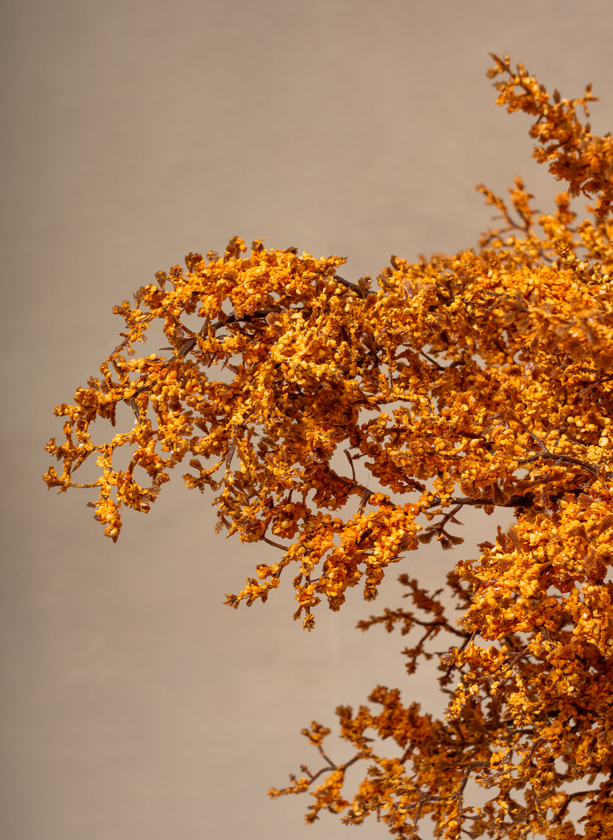 Herbstzweige – Orange (VORBESTELLUNG - WIRD AM 20.09 VERSENDET)