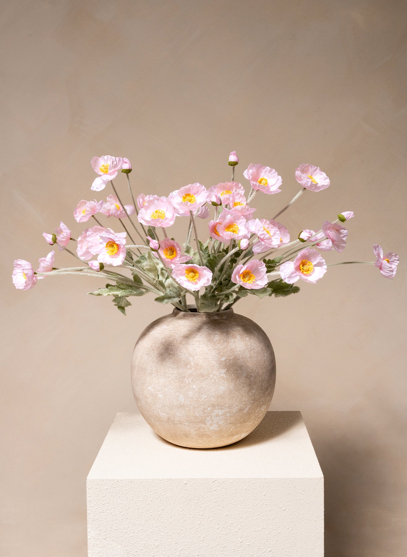 Seidenmohn - Hellrosa