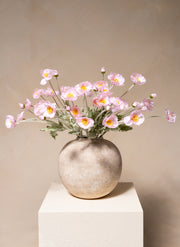 Seidenmohn - Hellrosa