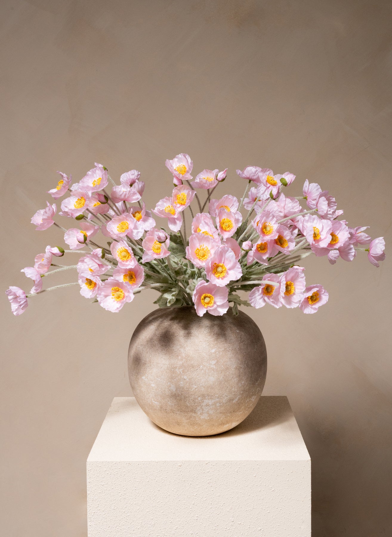 Seidenmohn - Hellrosa