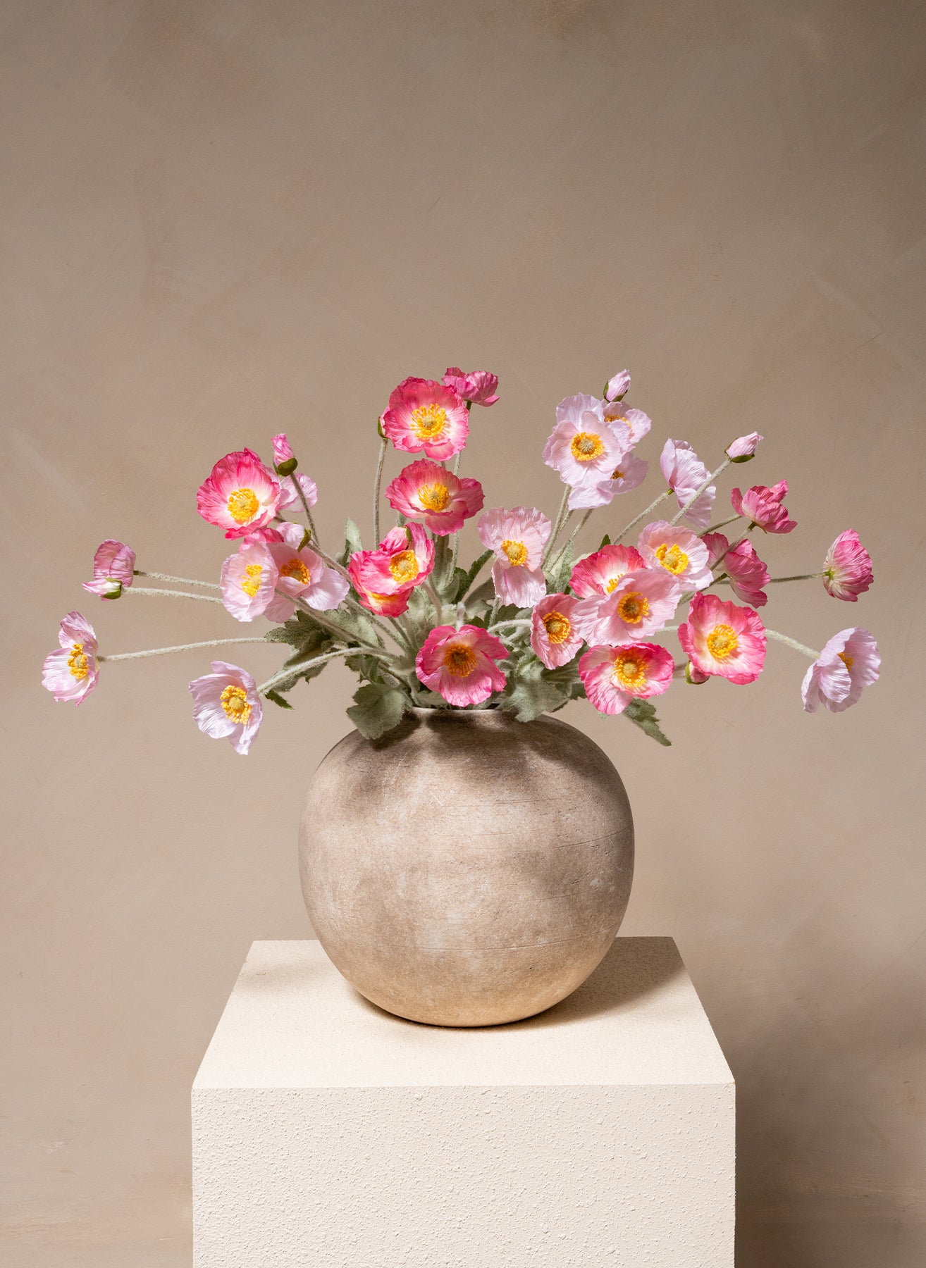 Seidenmohn - Rosa Mischung