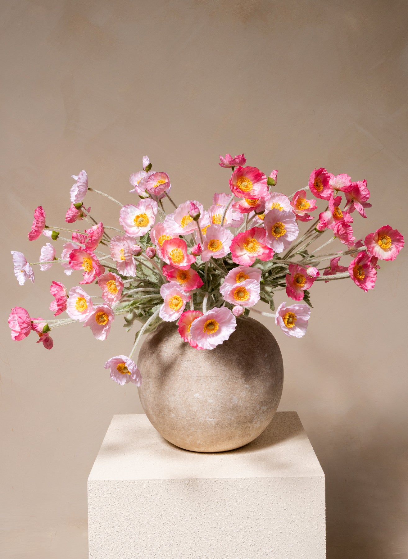 Seidenmohn - Rosa Mischung