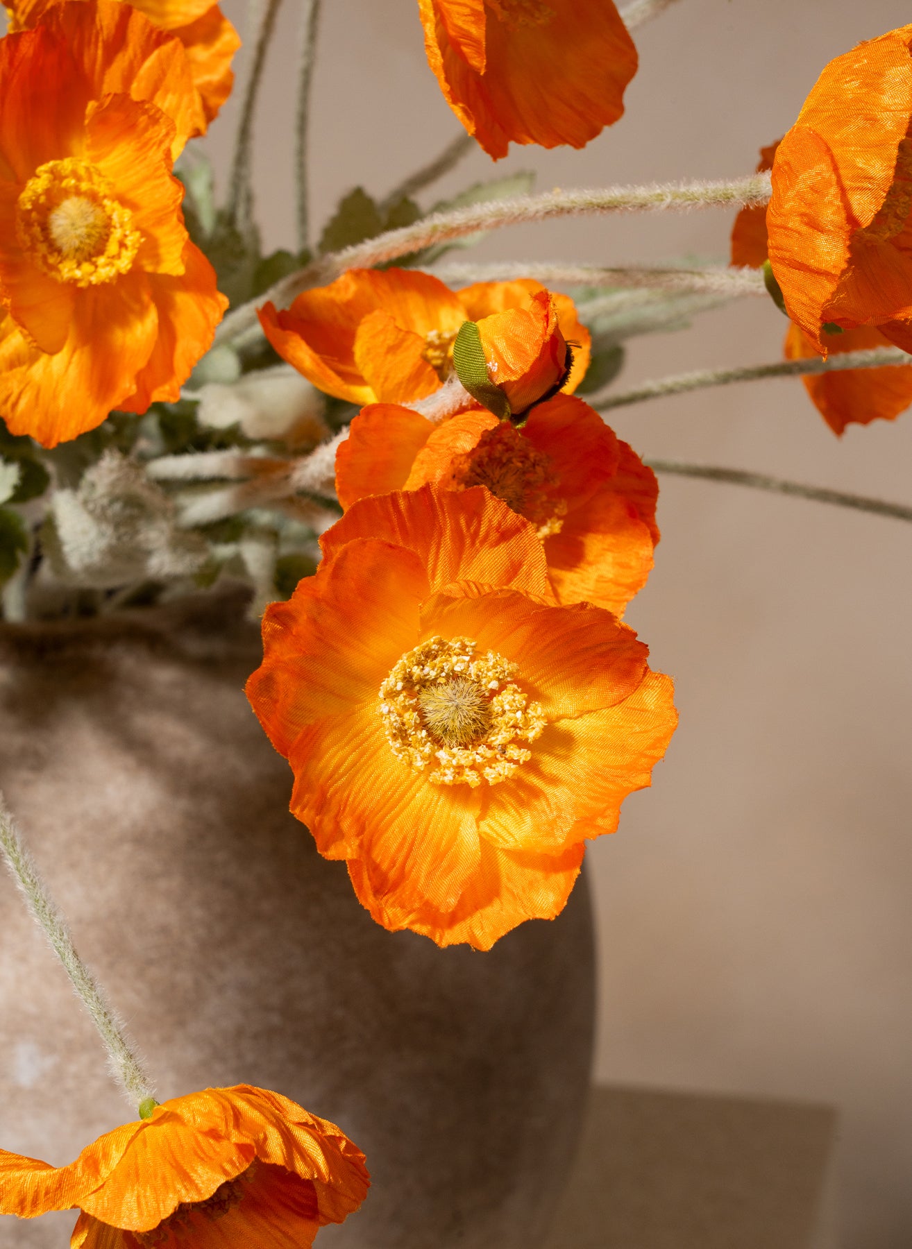 Seidenmohn - Hellorange