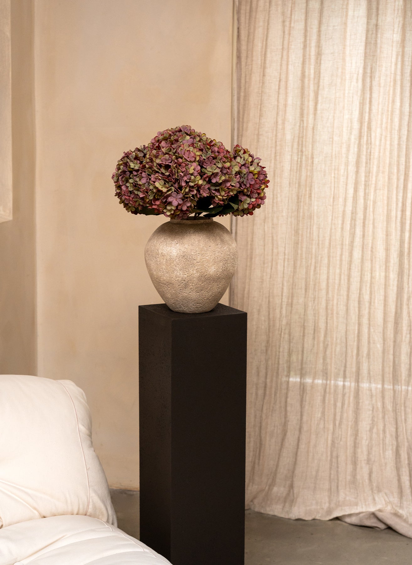 Große Seidenhortensie - Lila