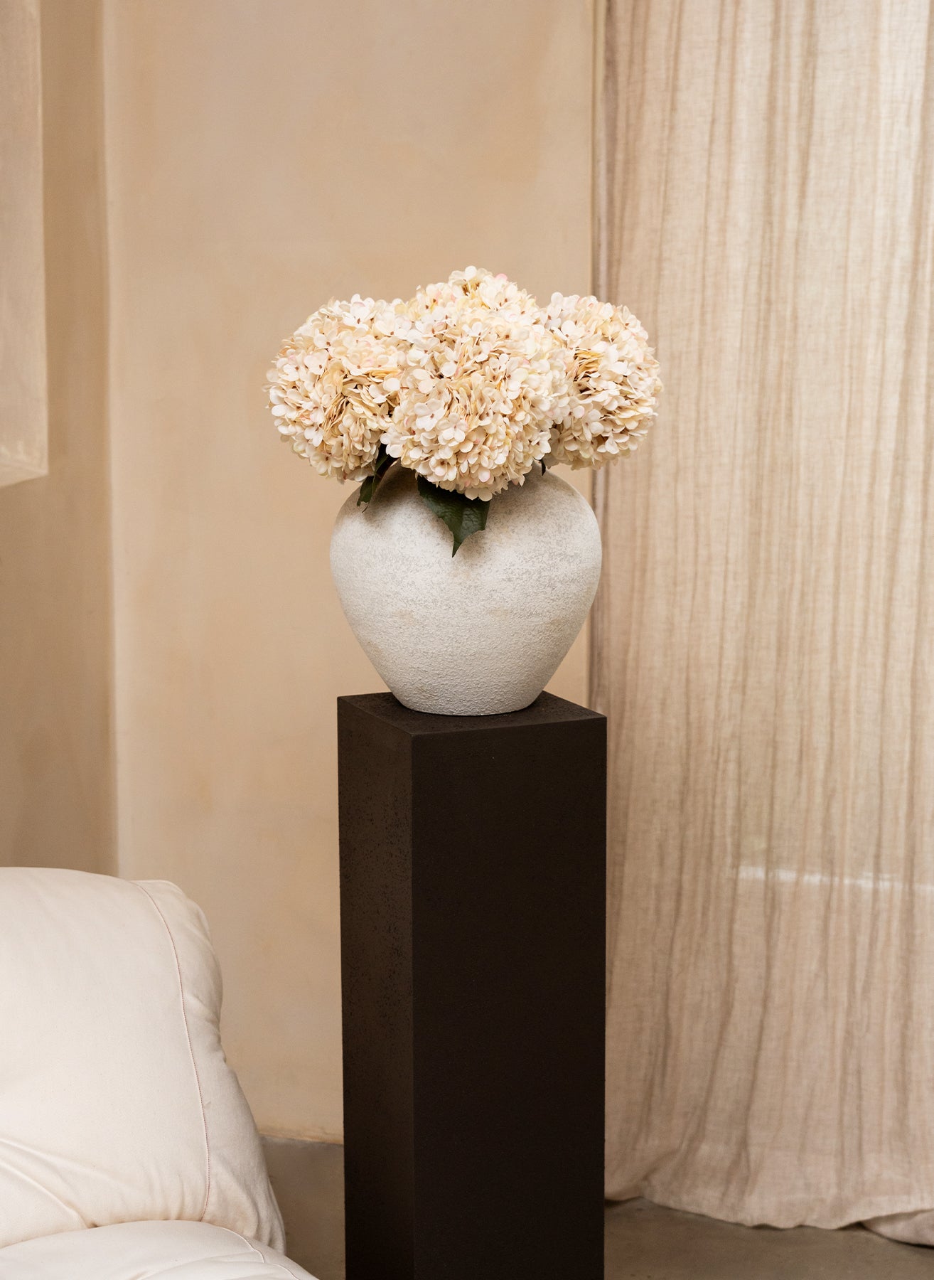 Große Seidenhortensie - Creme