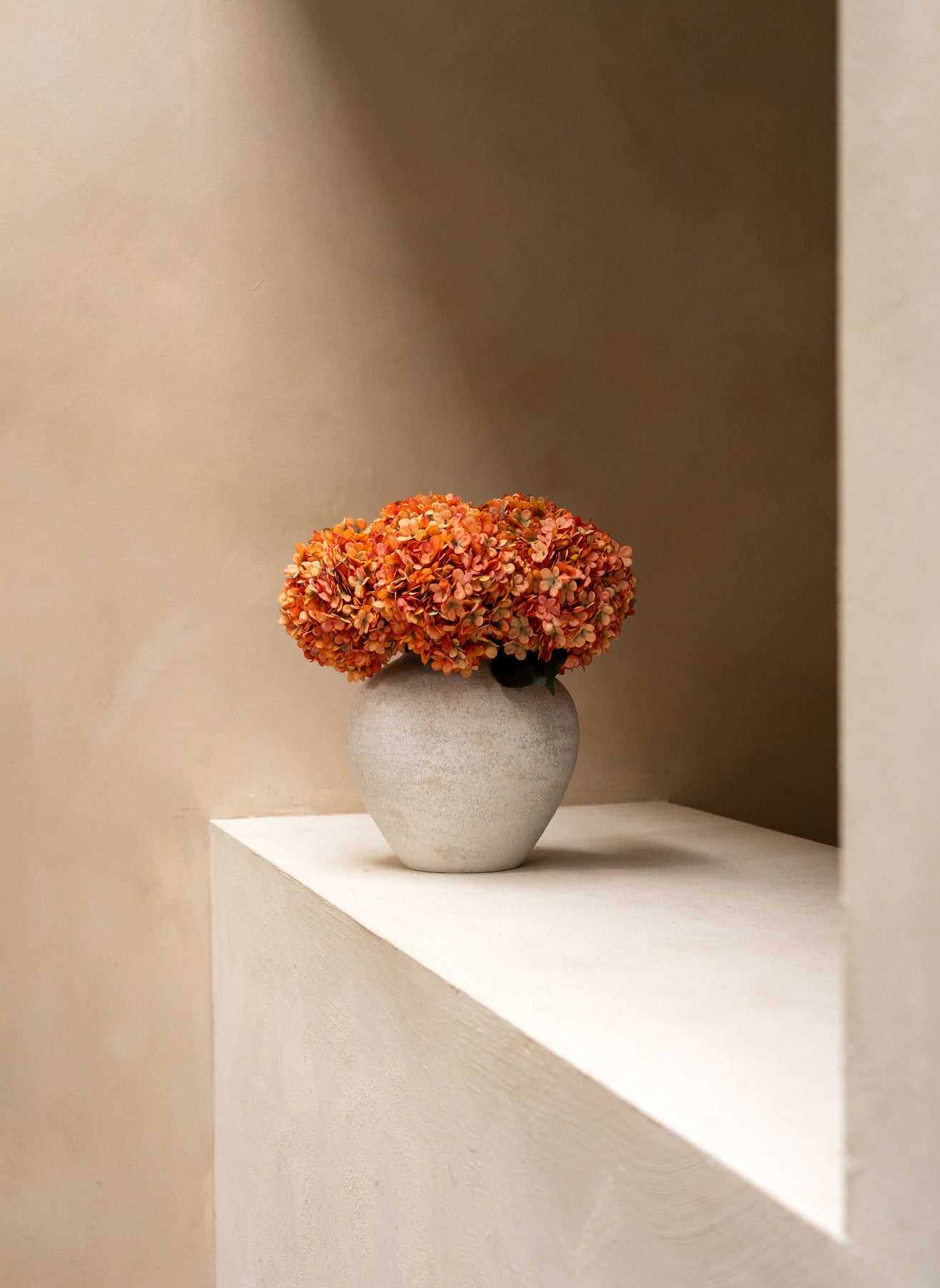 Große Seidenhortensie - Orange