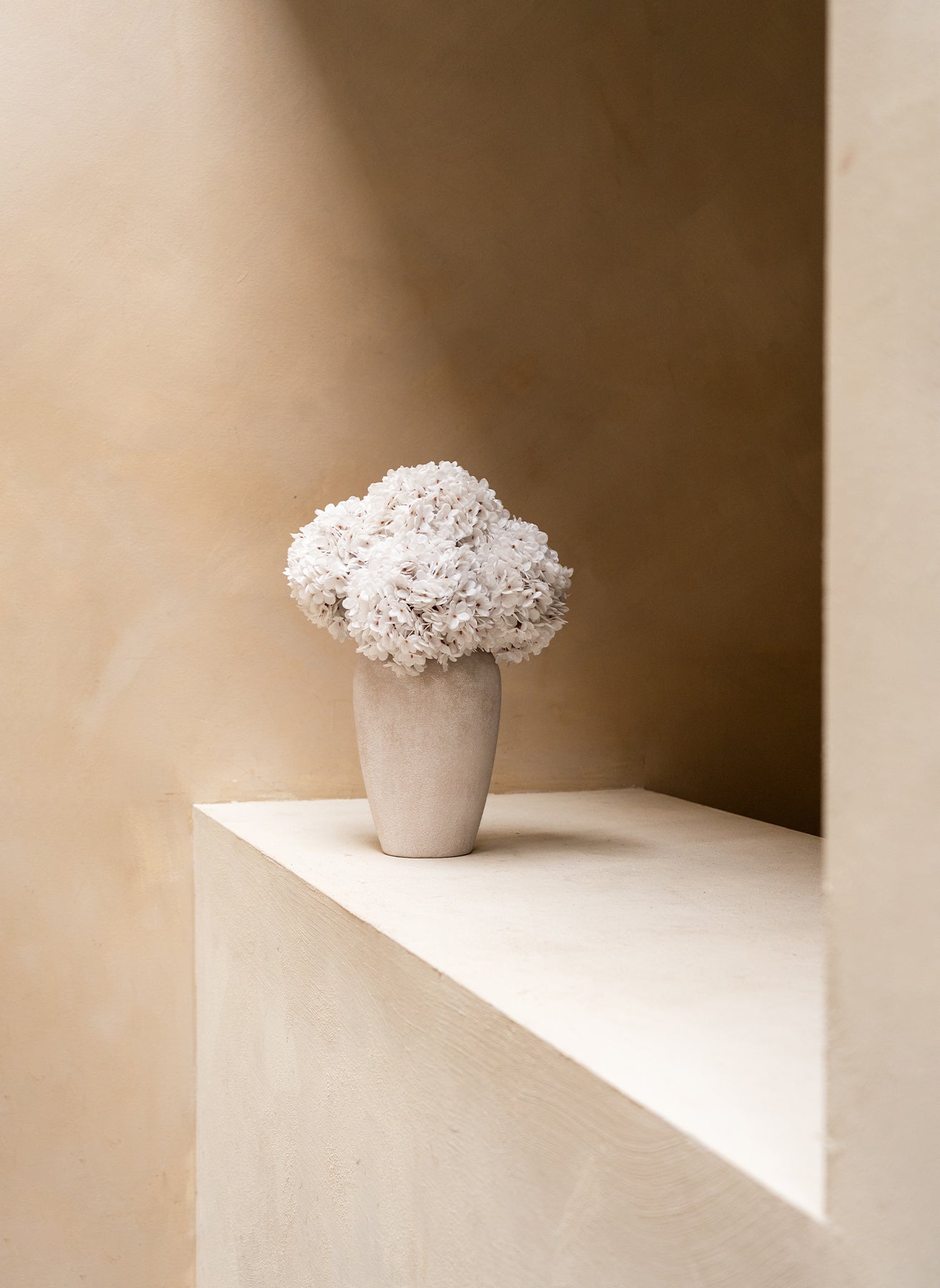 Große Seidenhortensie - Weiß